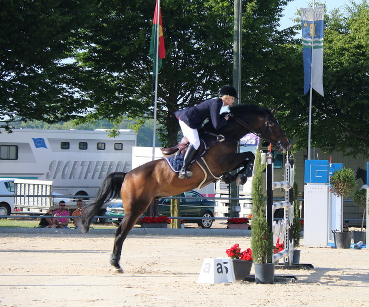 Description de l'image