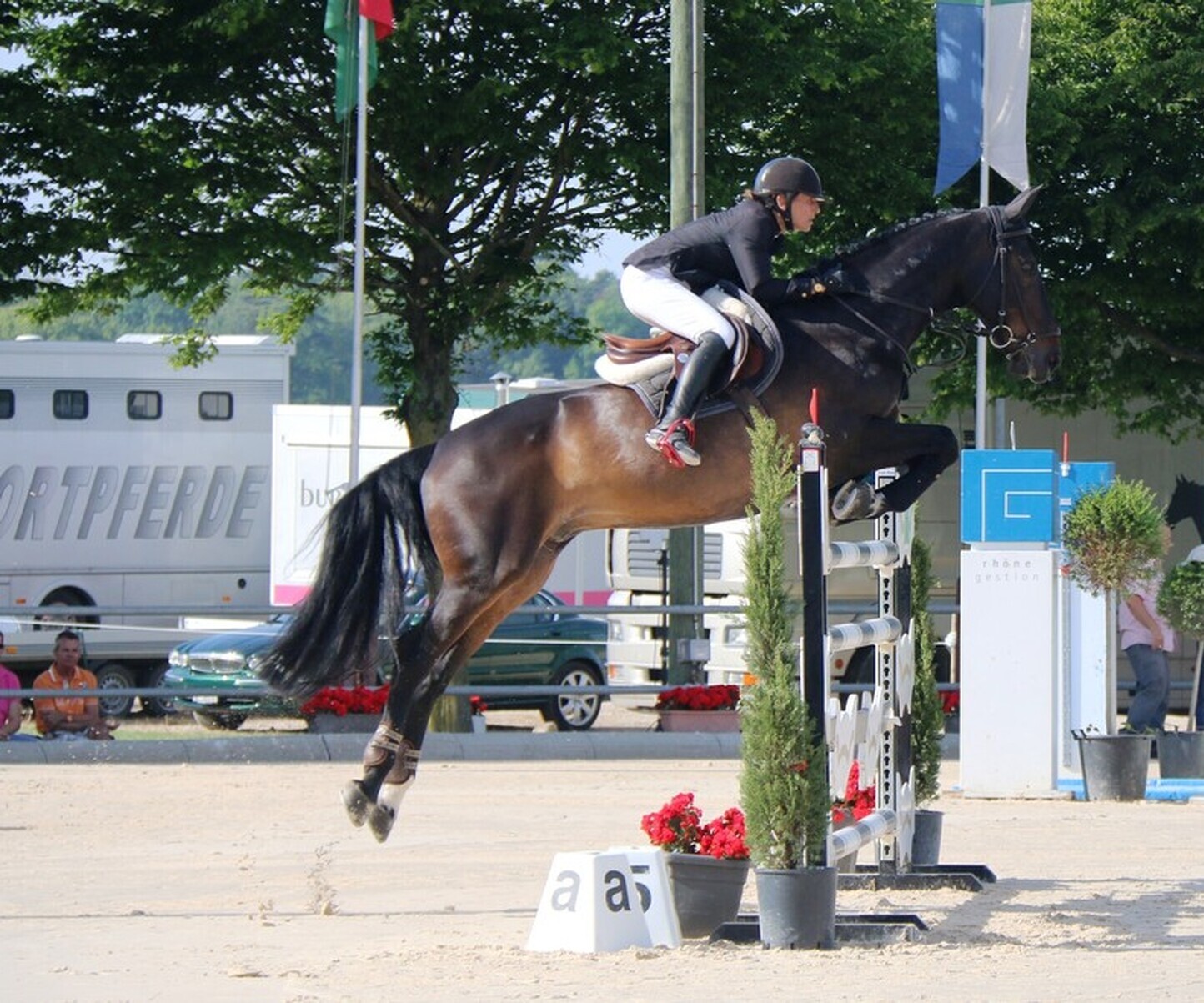 Description de l'image