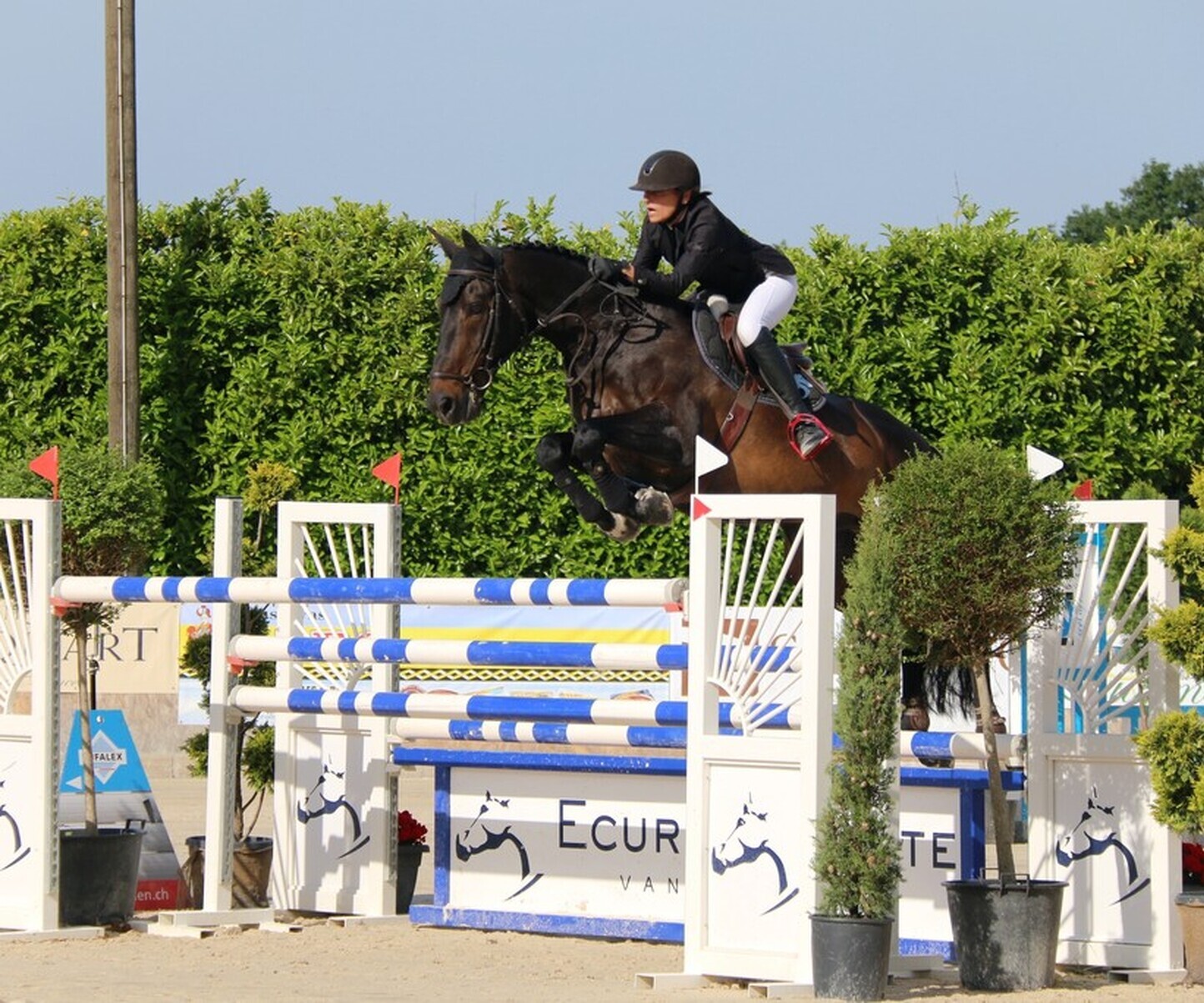 Description de l'image