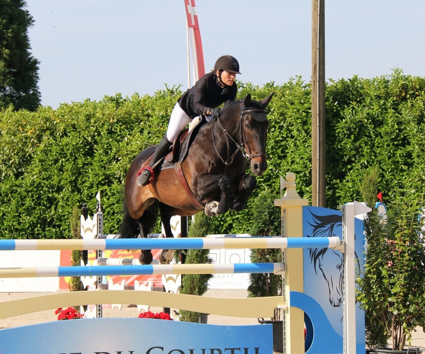 Description de l'image