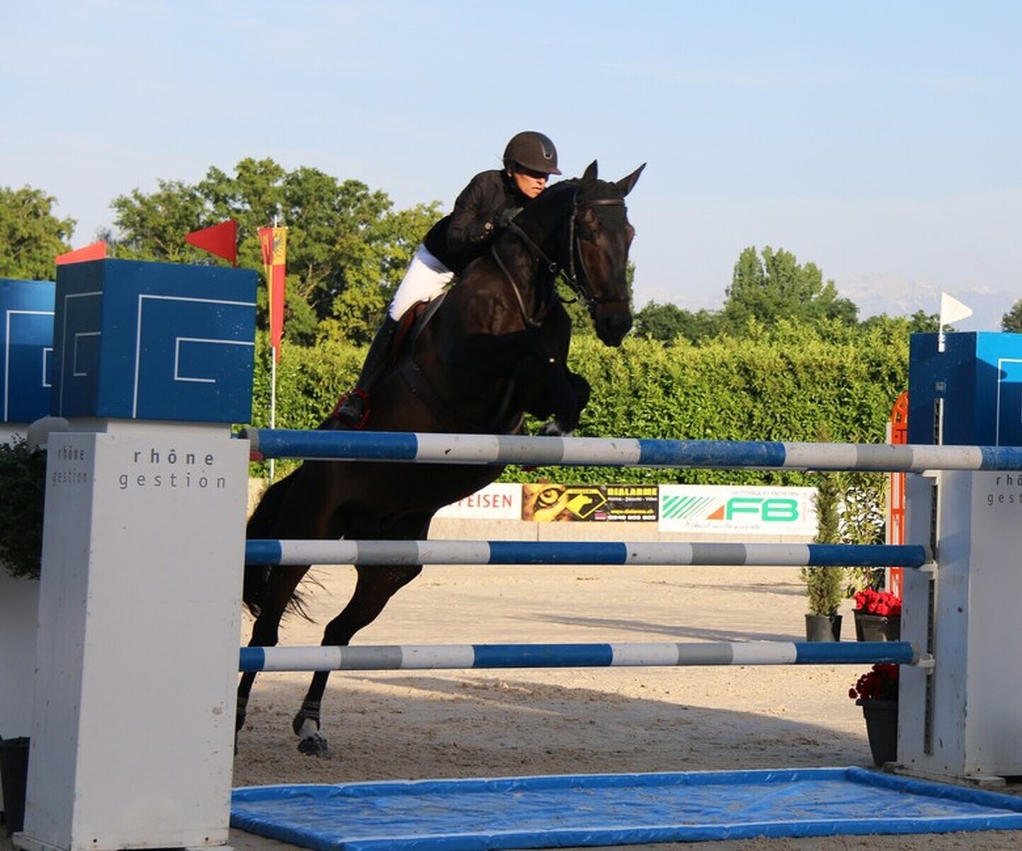 Description de l'image