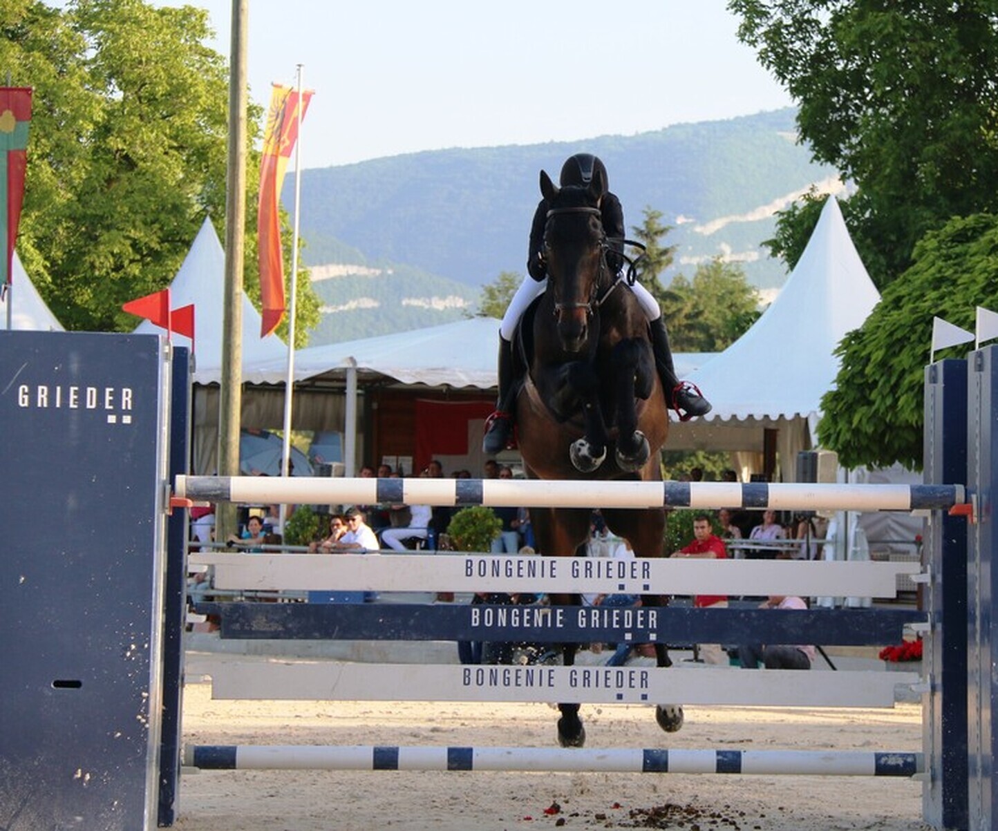 Description de l'image