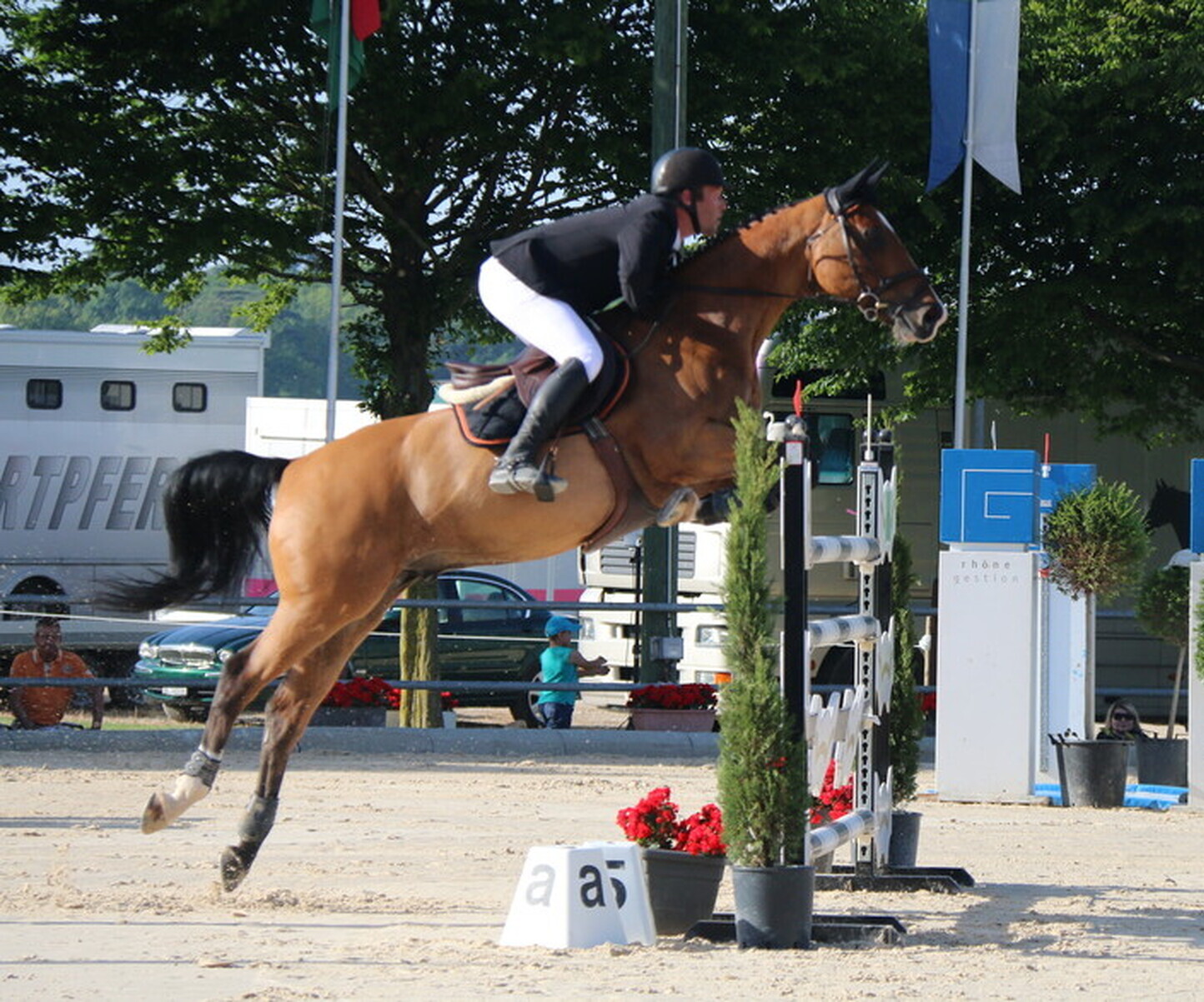 Description de l'image