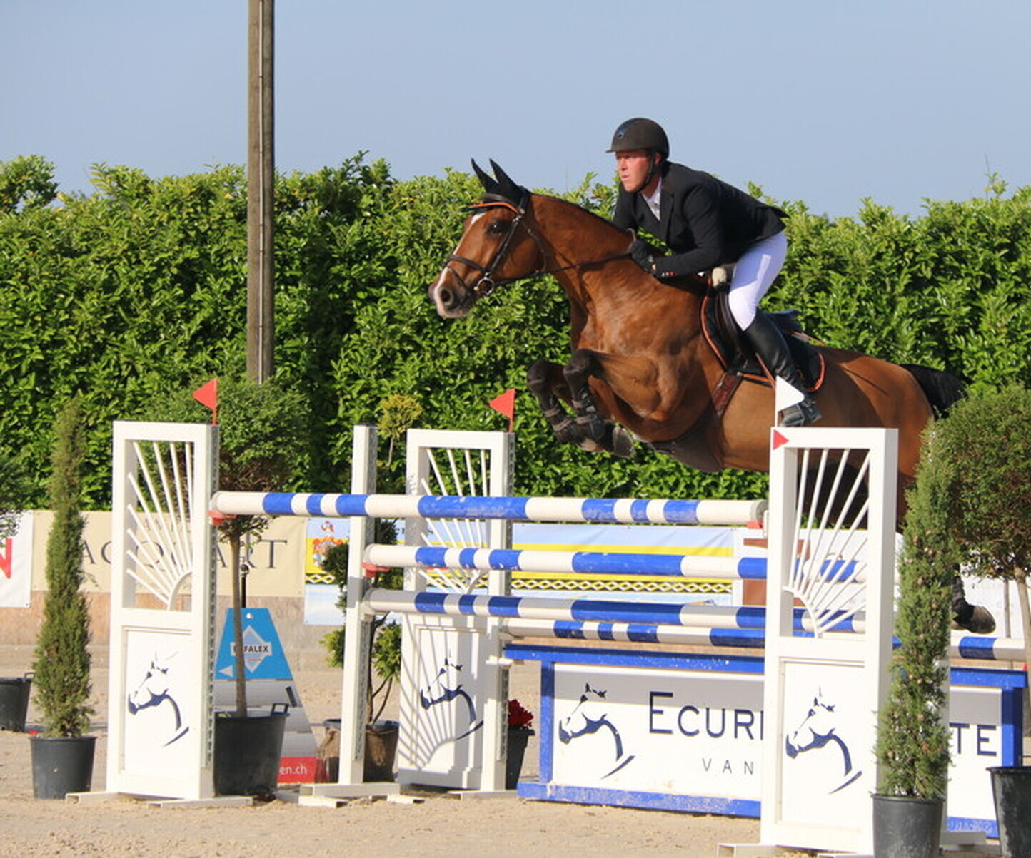 Description de l'image