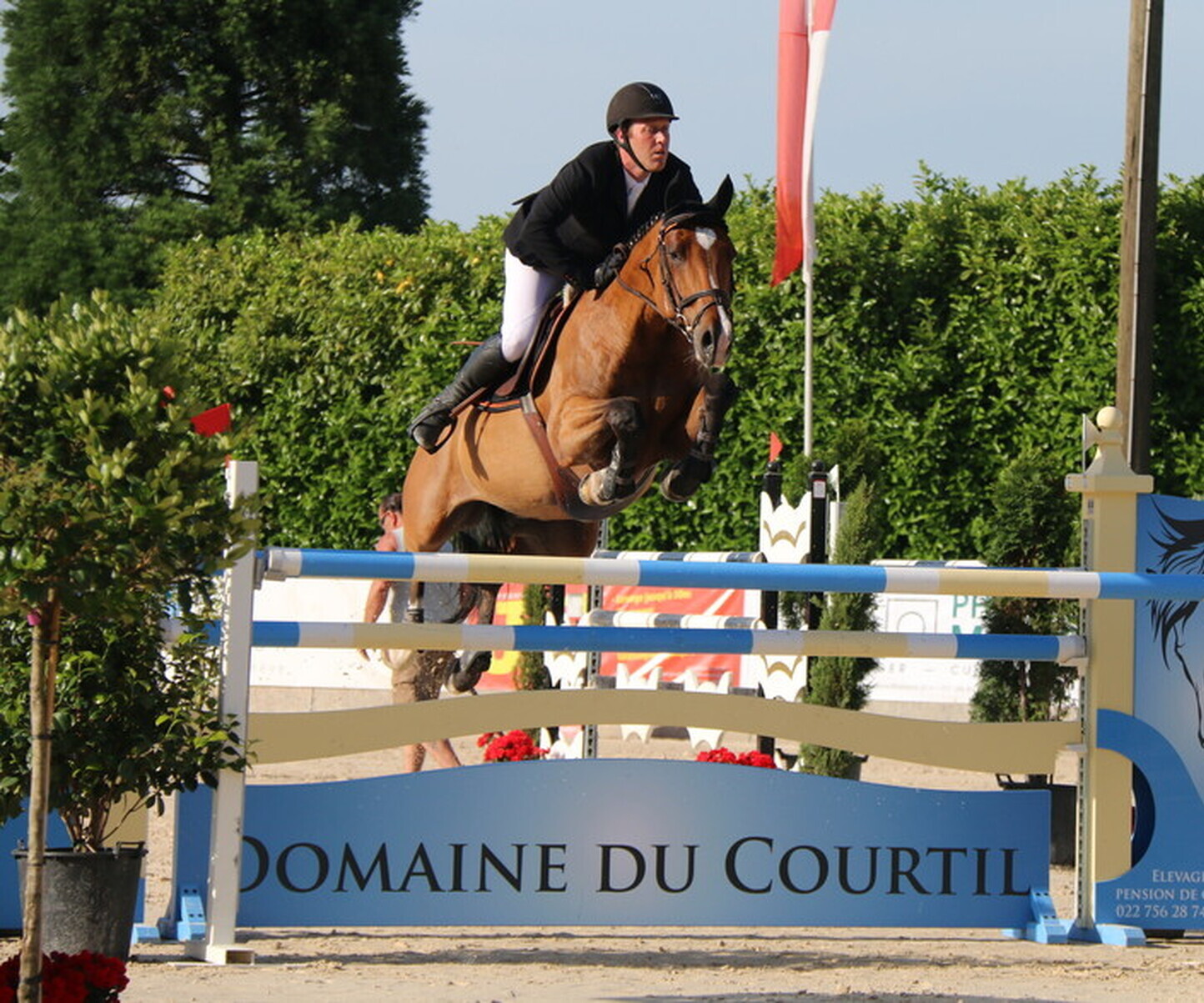 Description de l'image