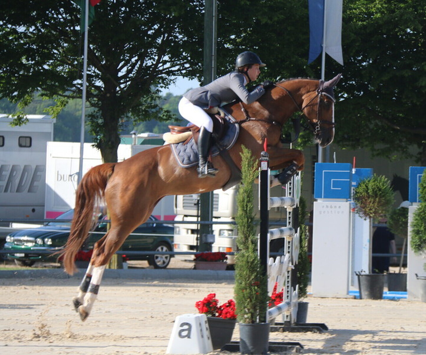 Description de l'image