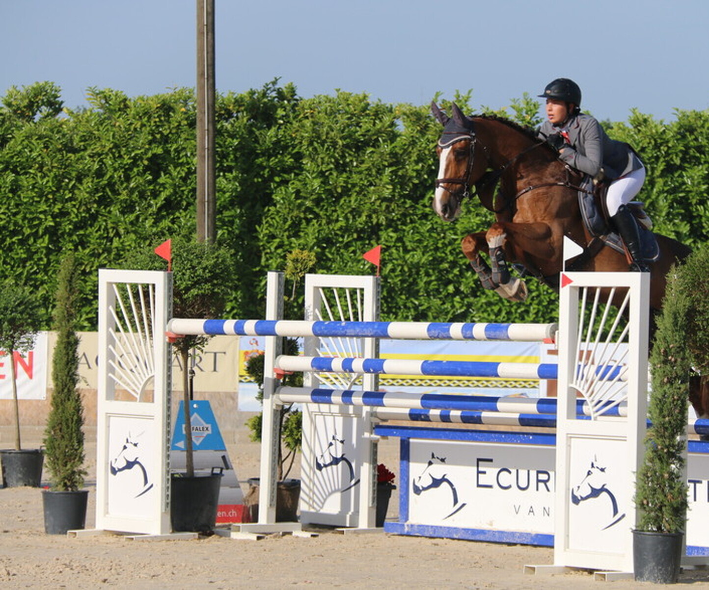 Description de l'image