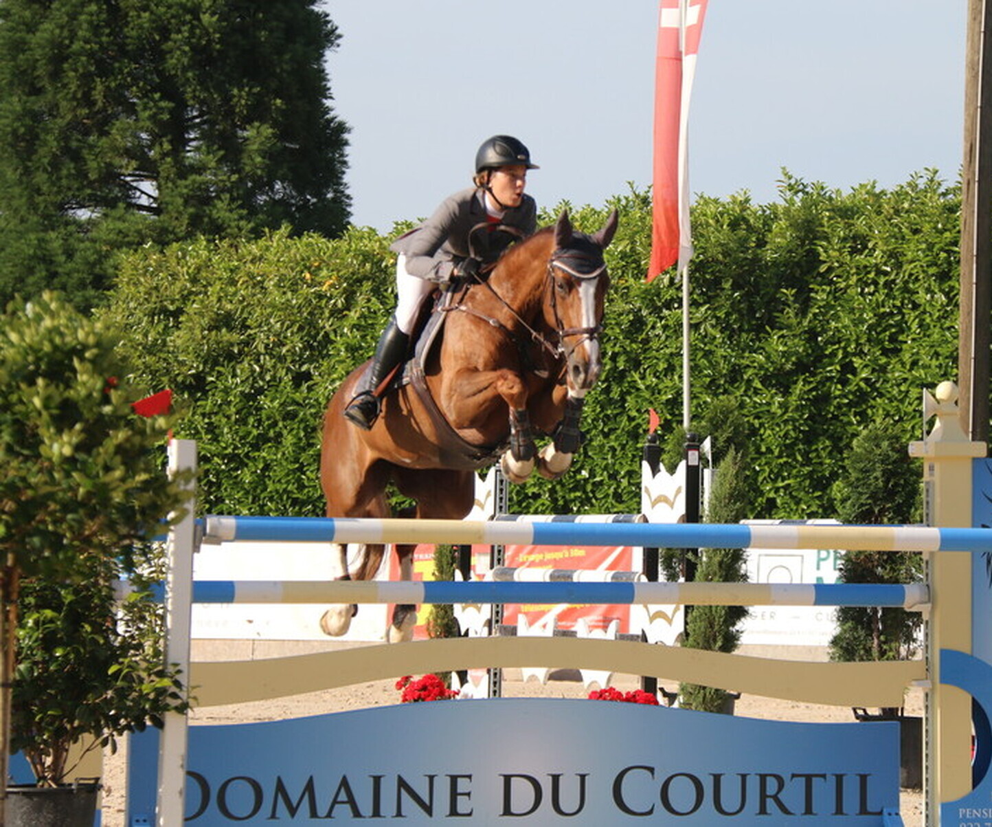 Description de l'image