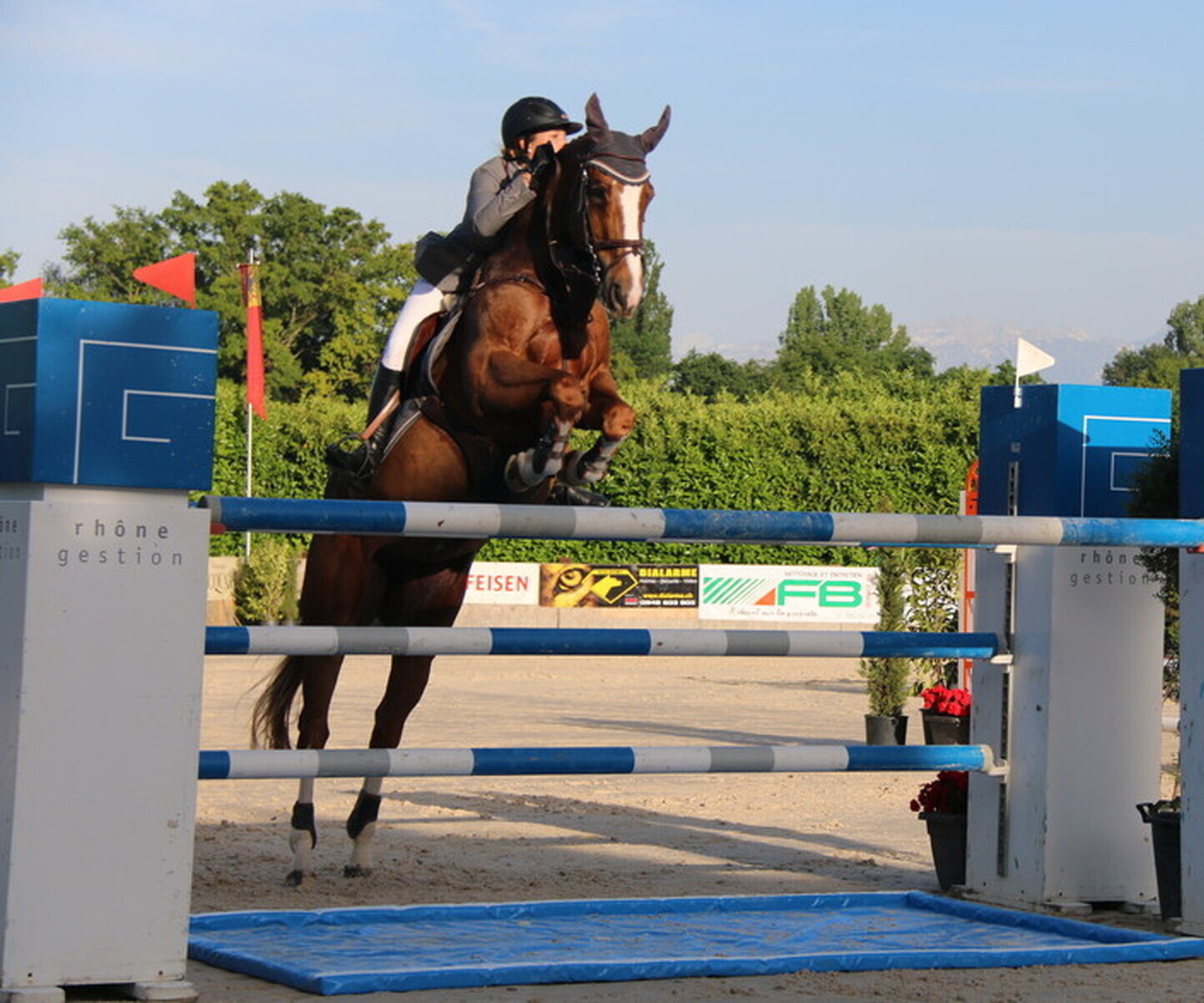 Description de l'image