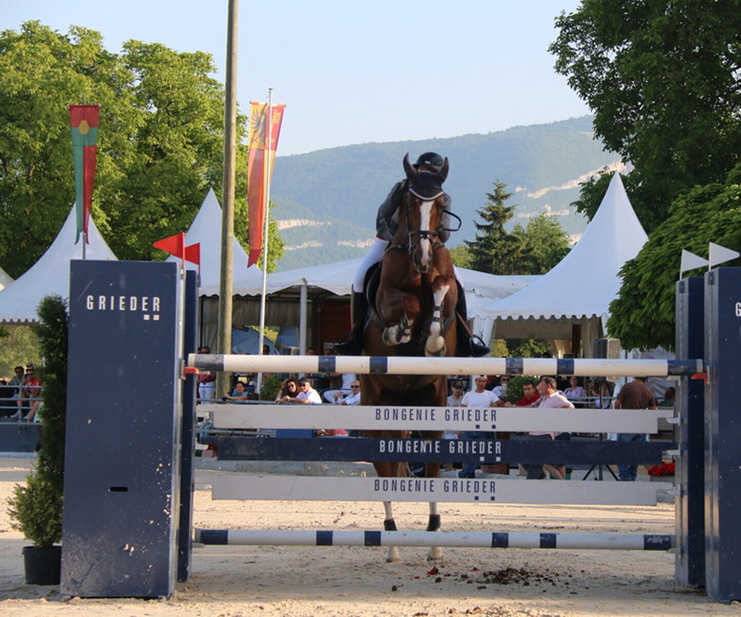 Description de l'image