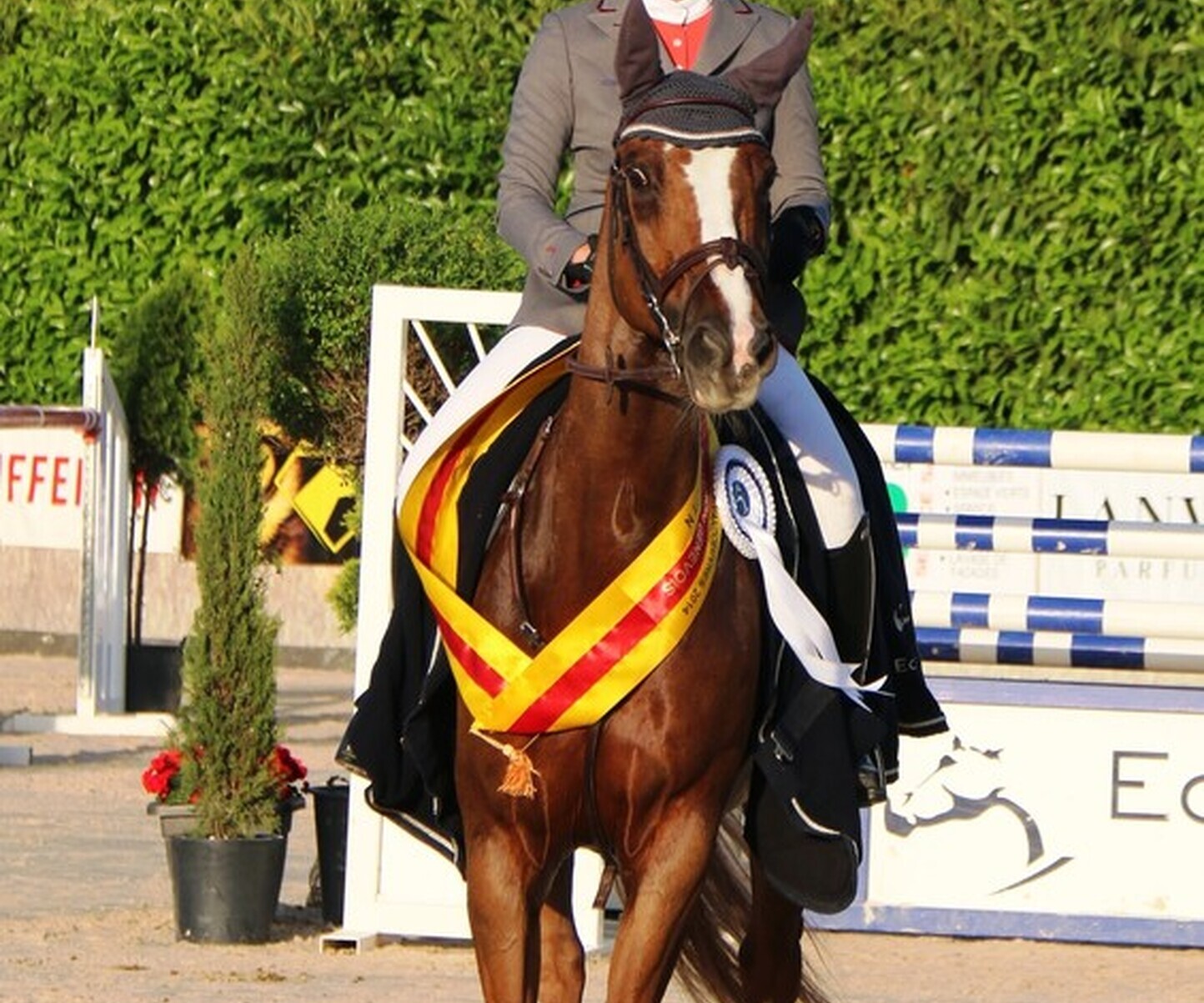 Description de l'image