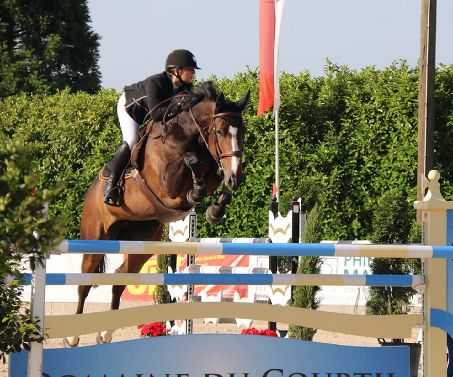 Description de l'image