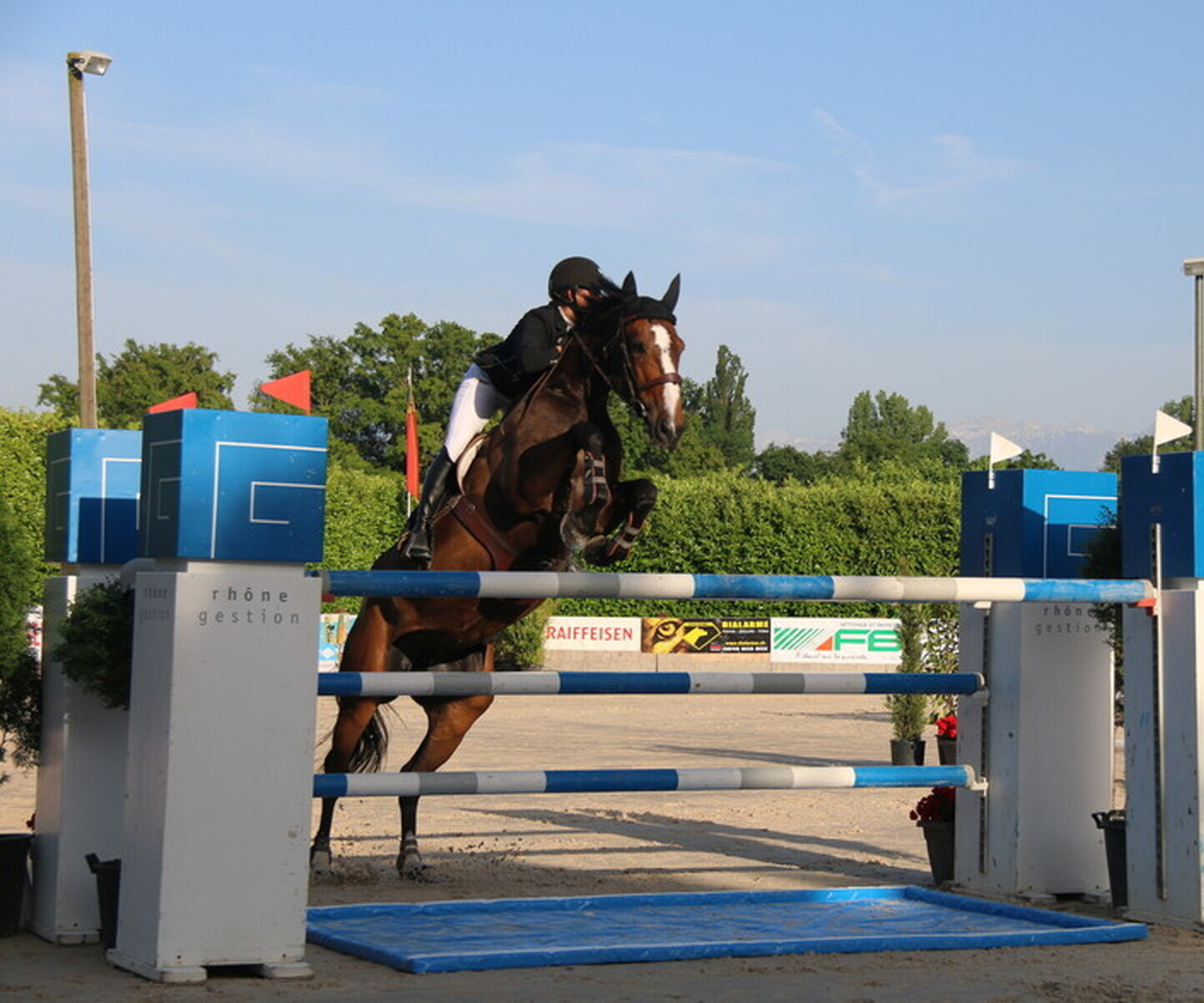 Description de l'image