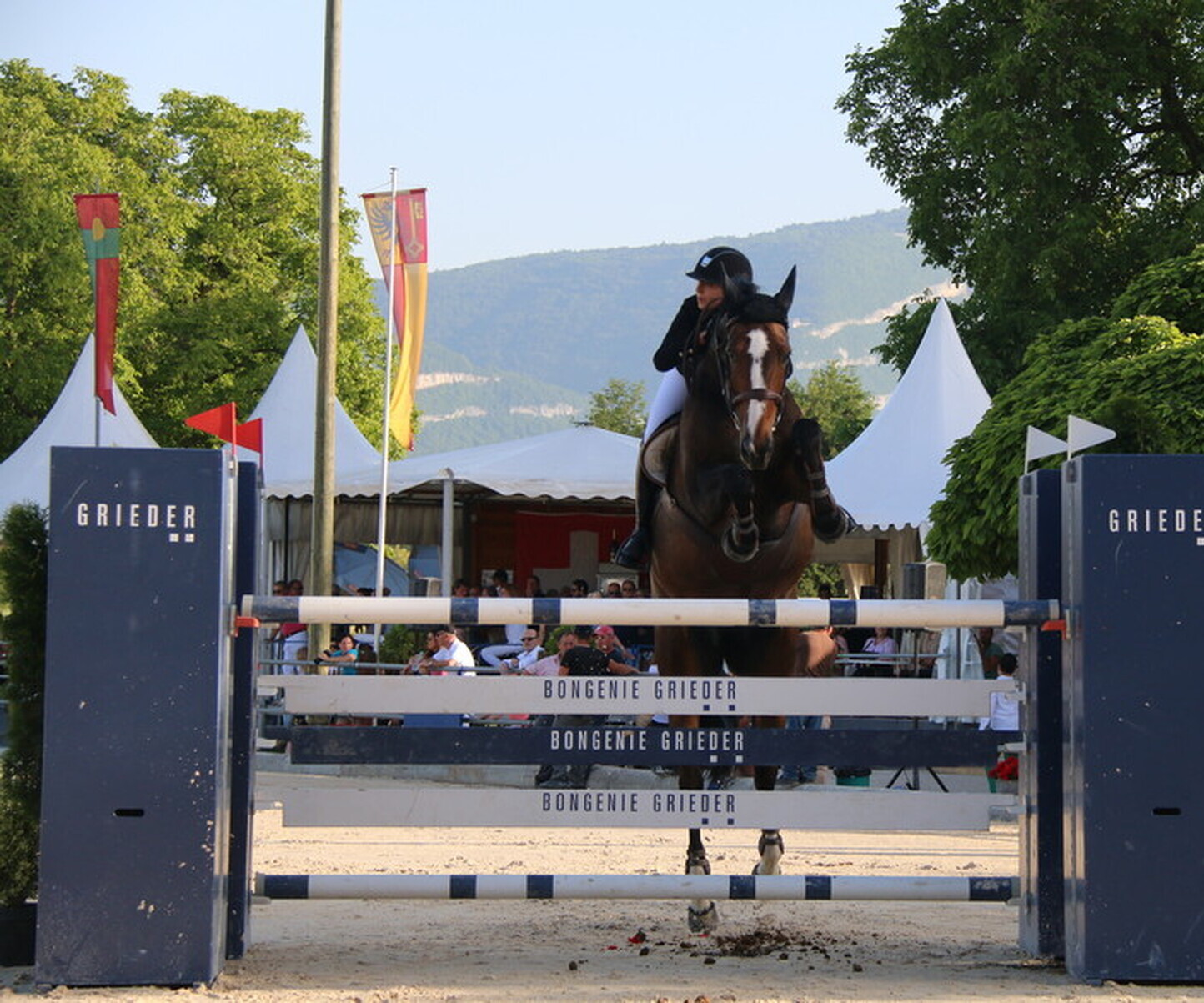 Description de l'image