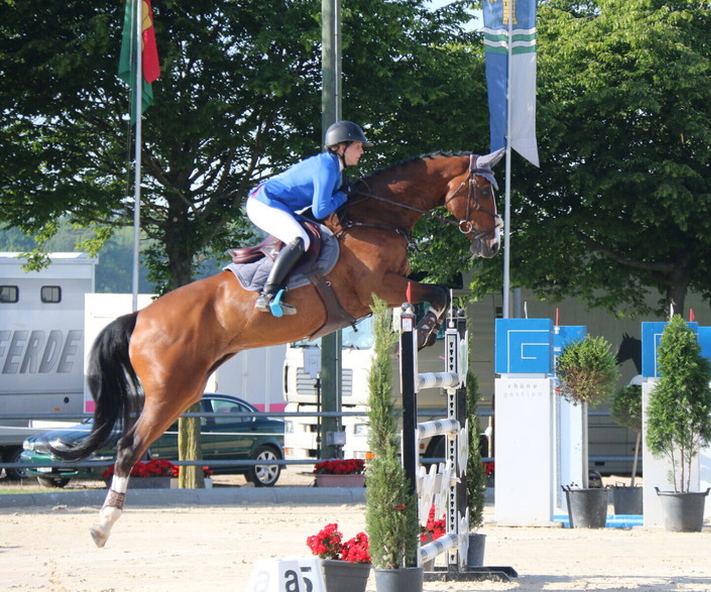 Description de l'image