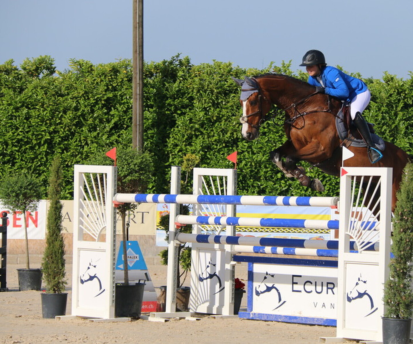 Description de l'image