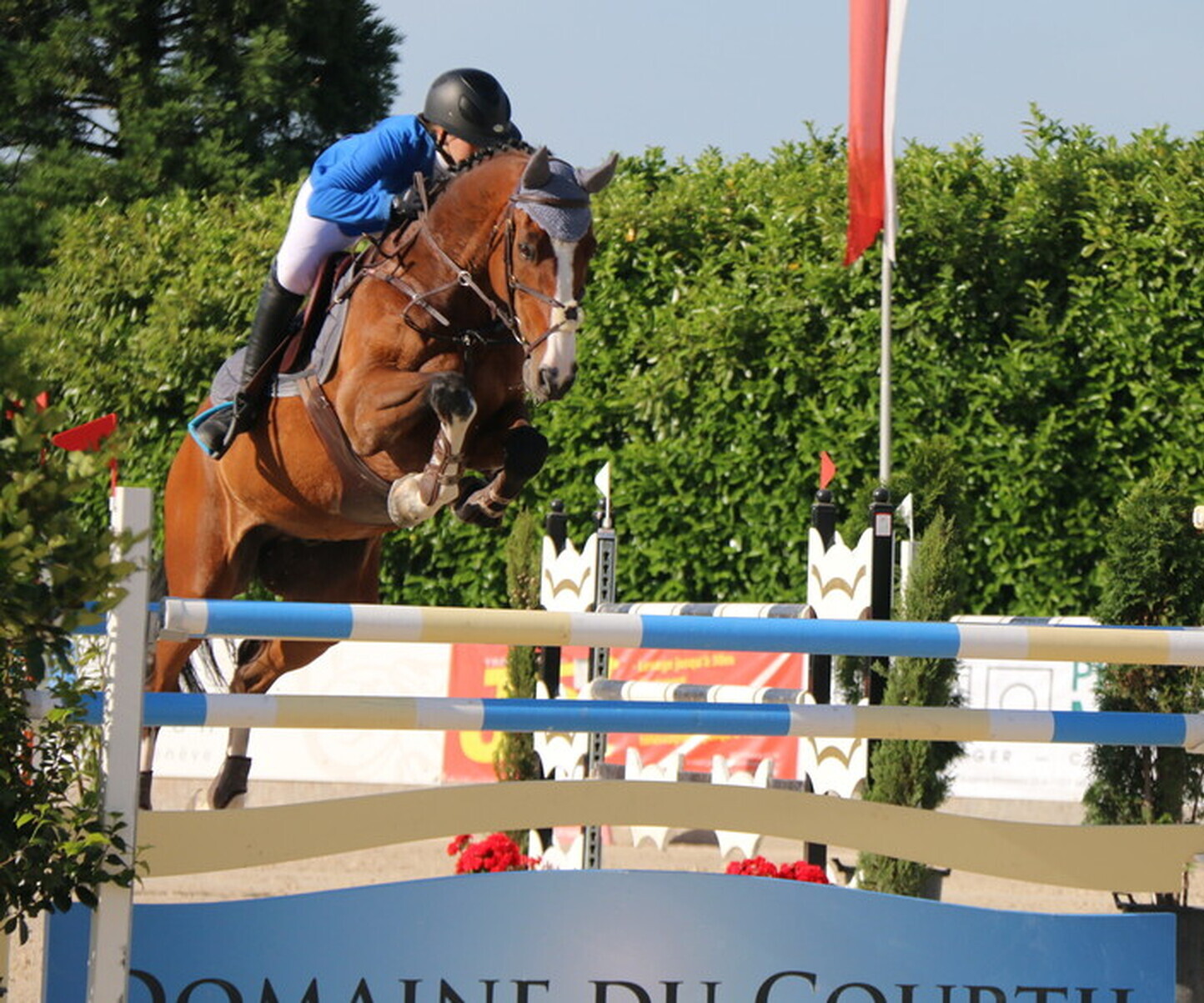 Description de l'image