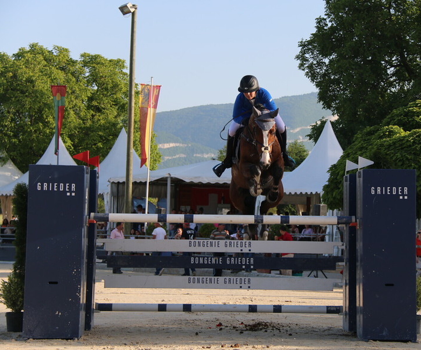 Description de l'image