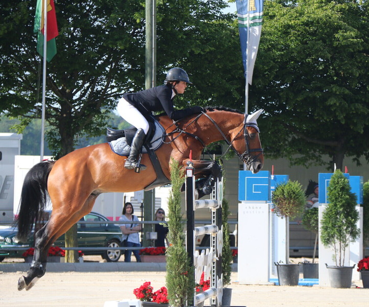 Description de l'image