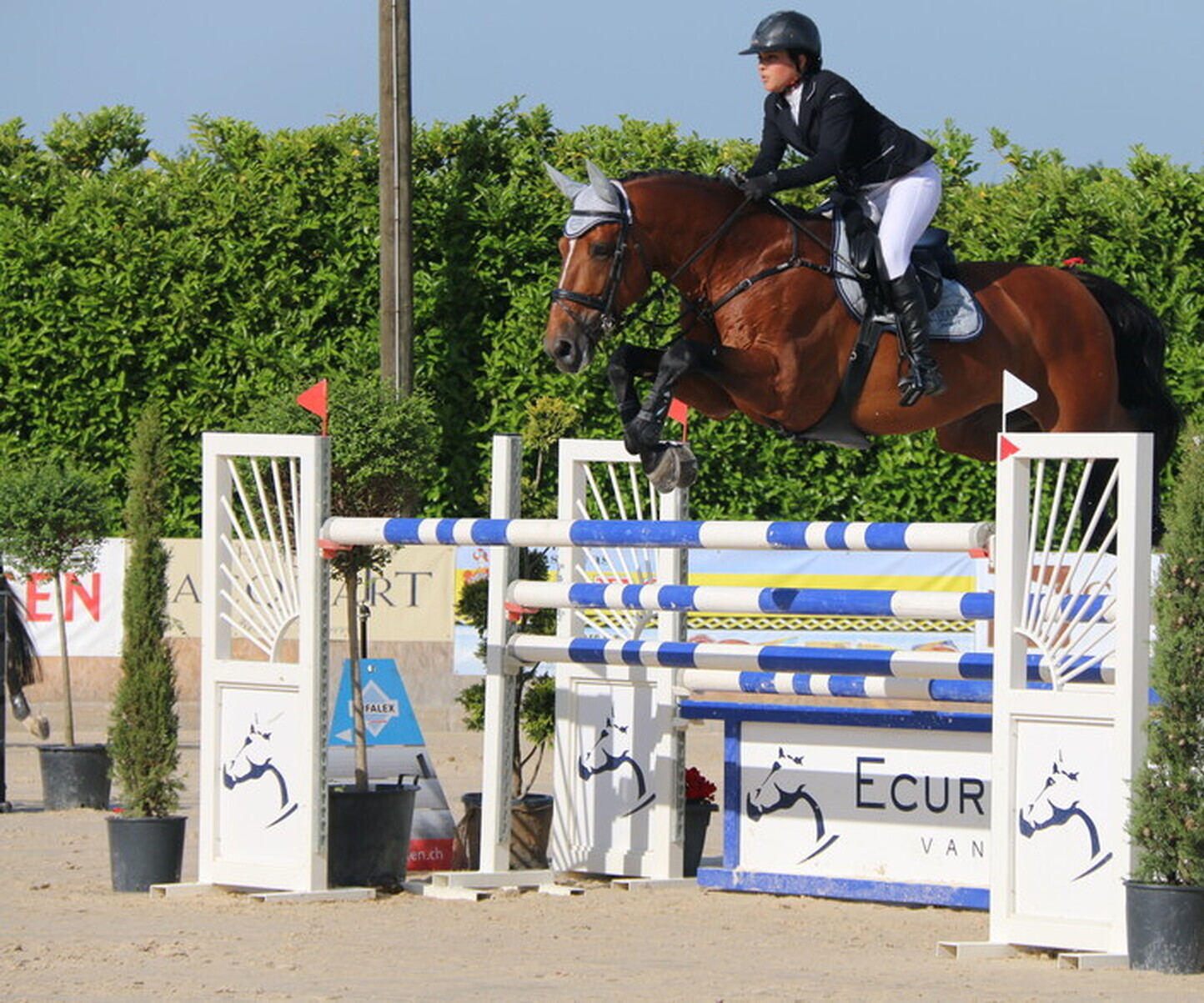 Description de l'image