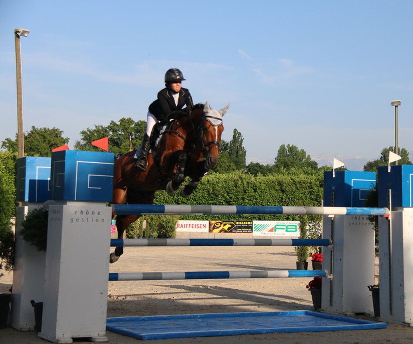 Description de l'image