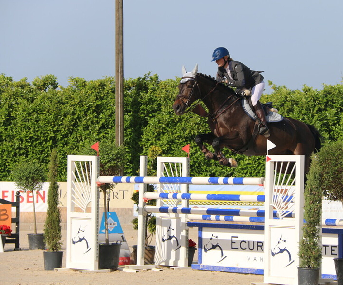 Description de l'image