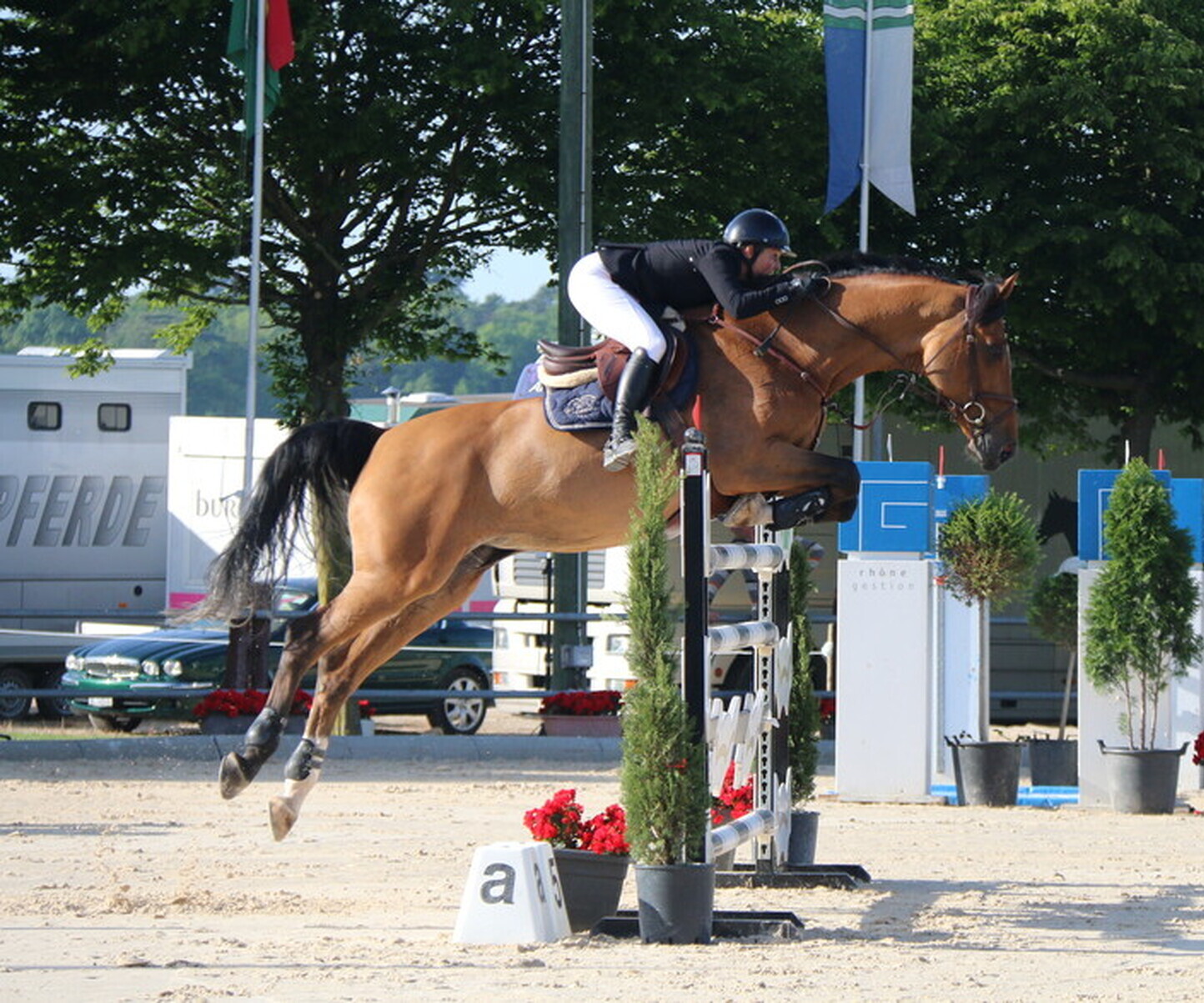 Description de l'image