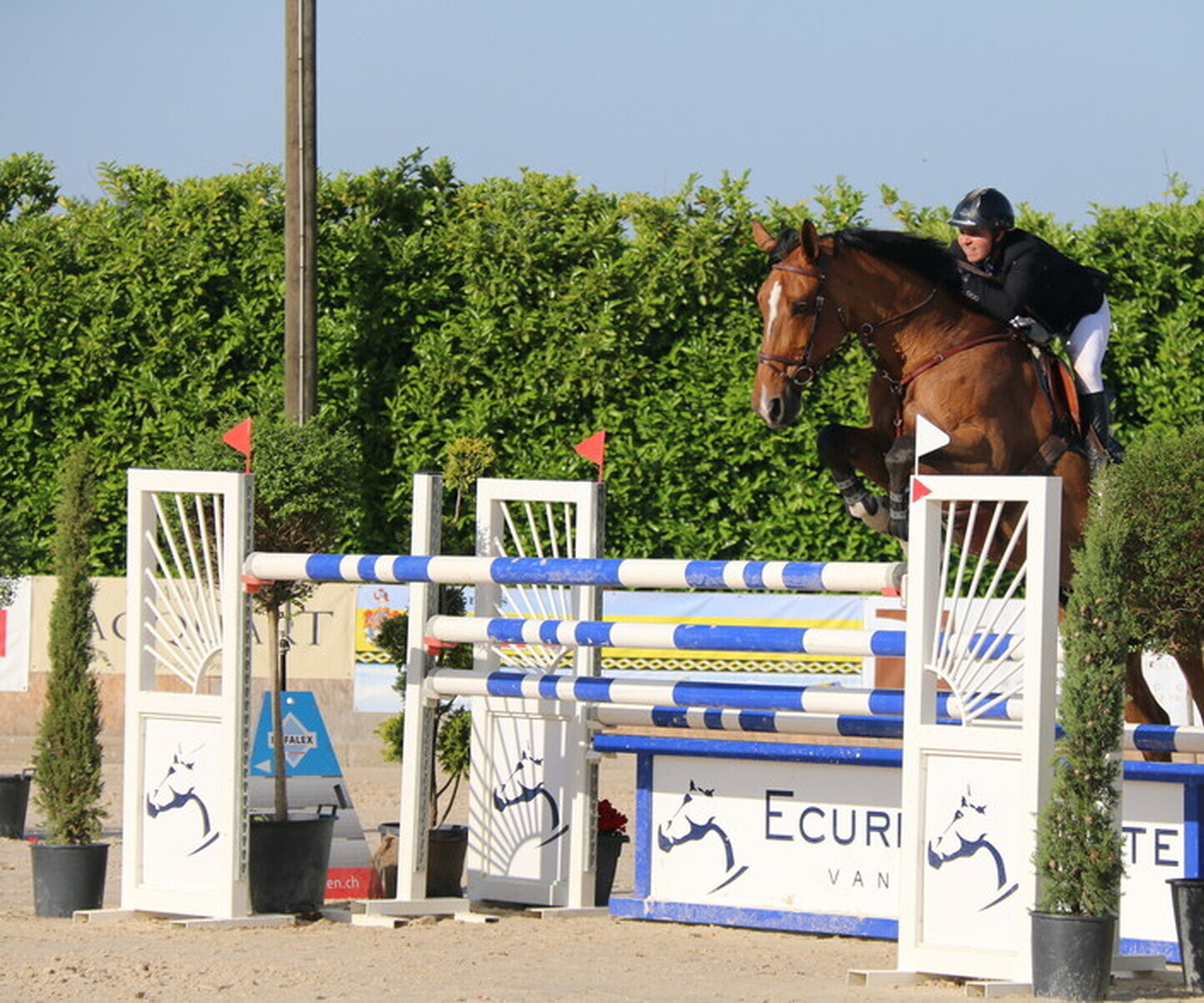 Description de l'image