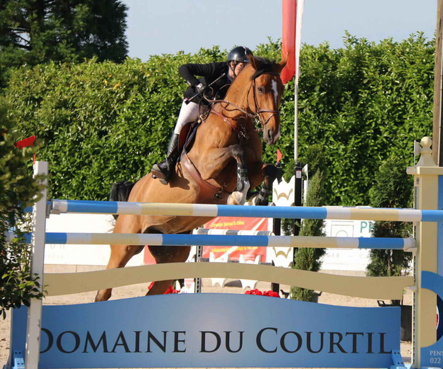 Description de l'image