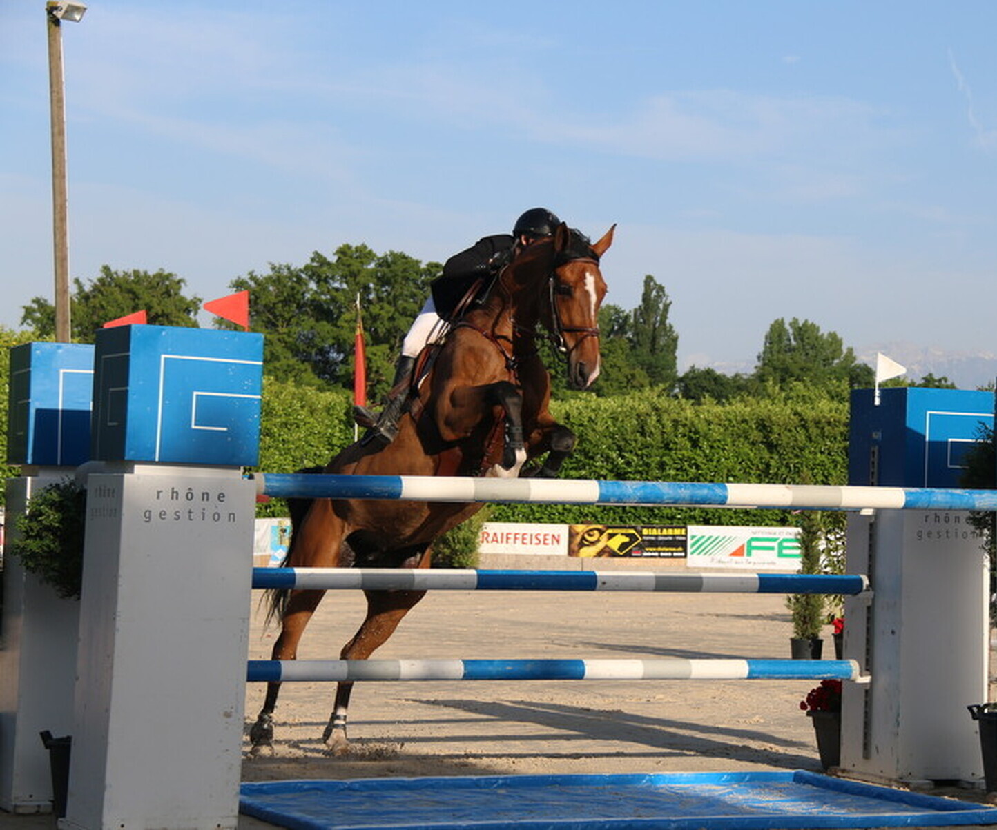 Description de l'image