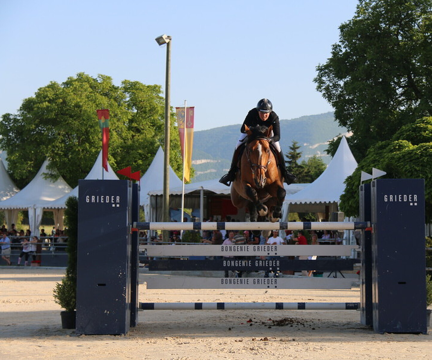 Description de l'image