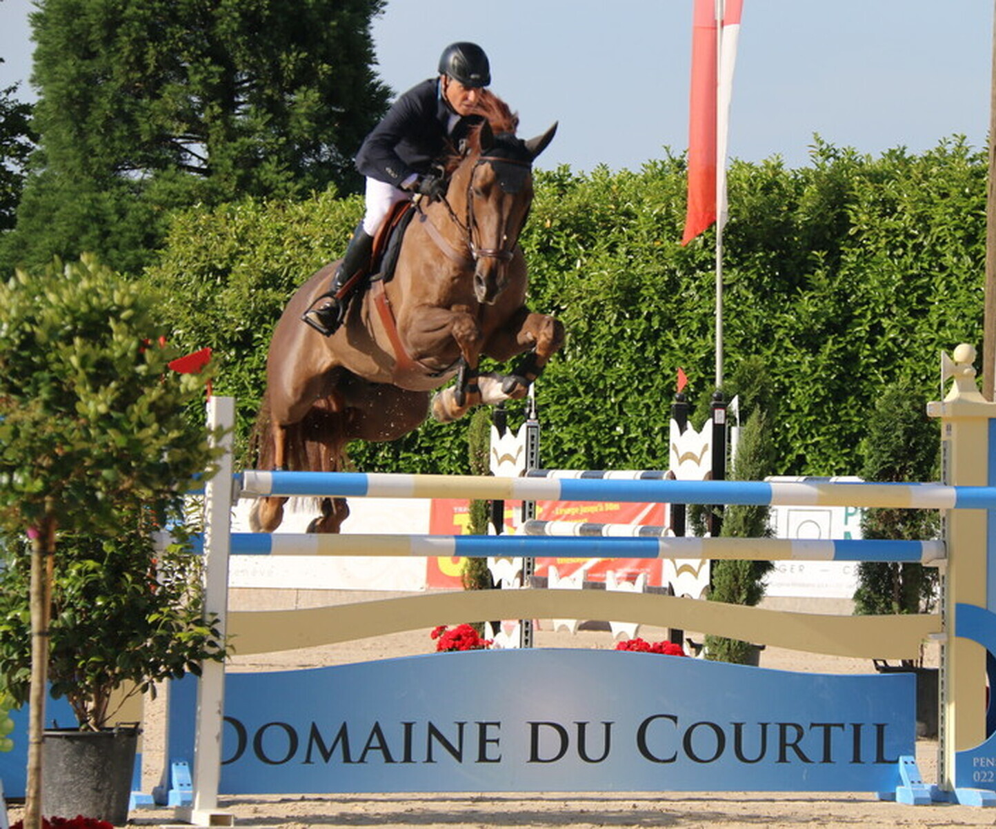 Description de l'image