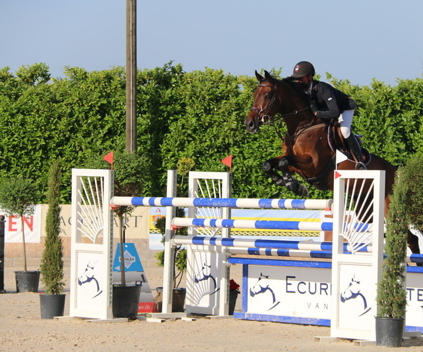 Description de l'image