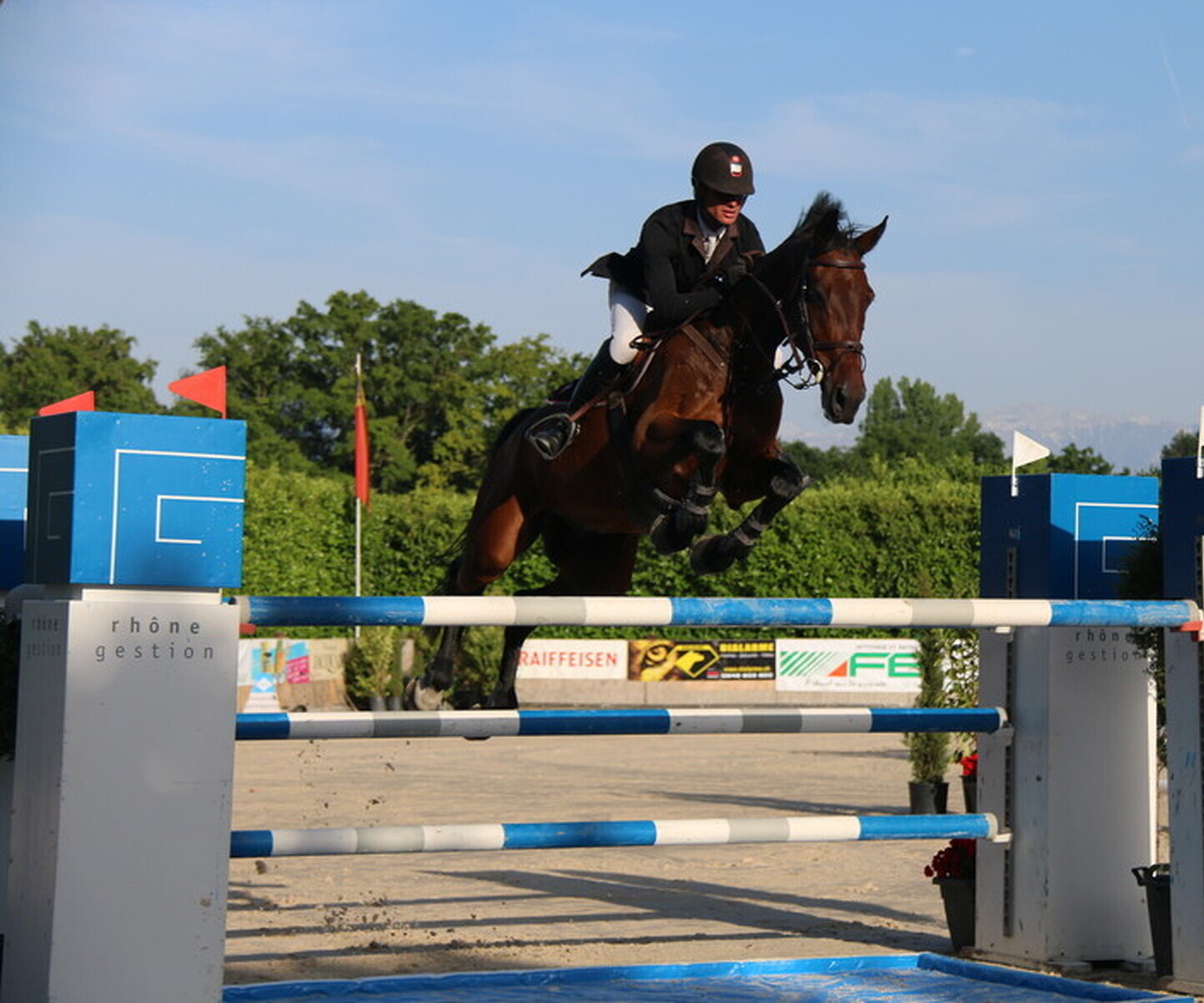 Description de l'image