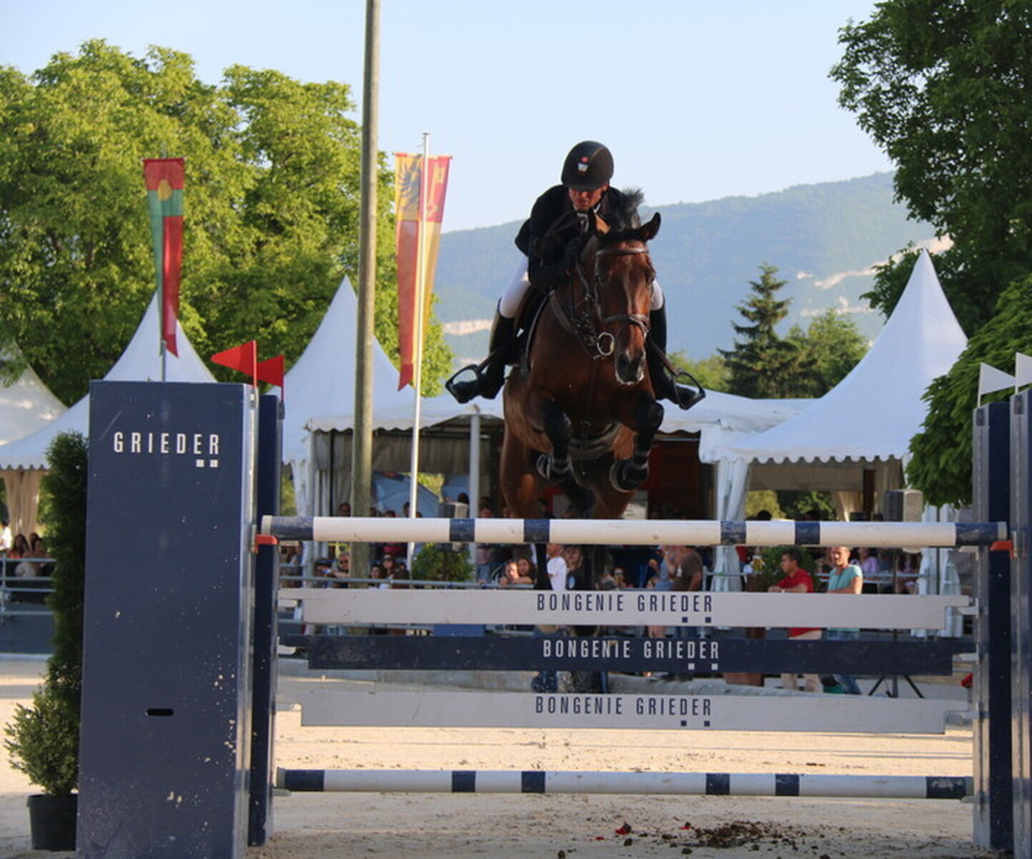 Description de l'image