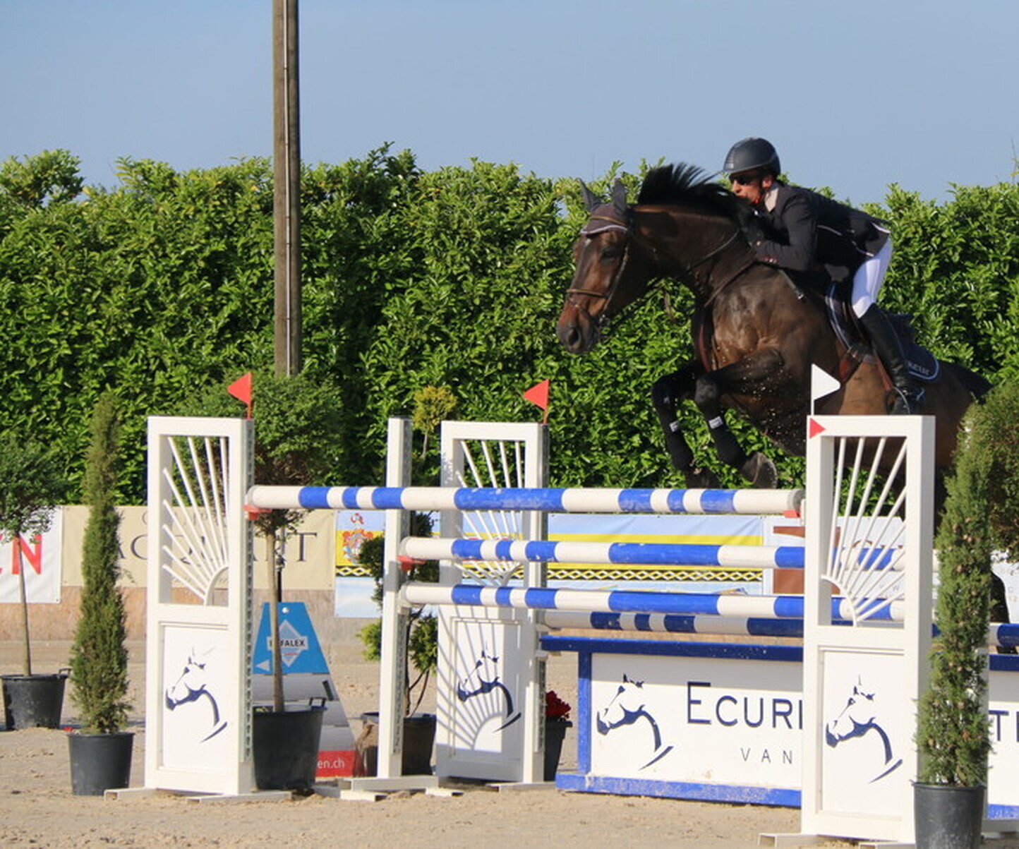 Description de l'image