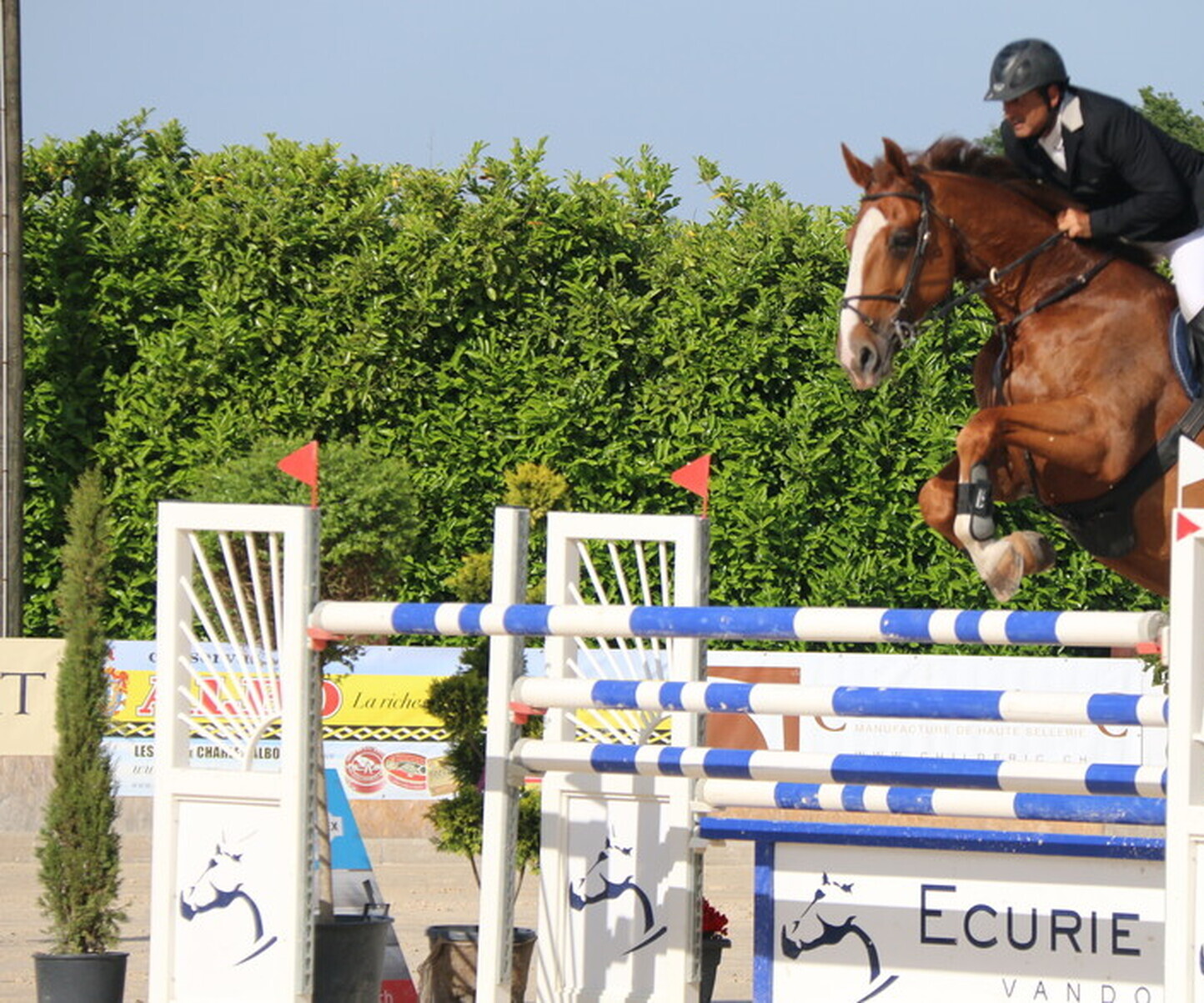 Description de l'image