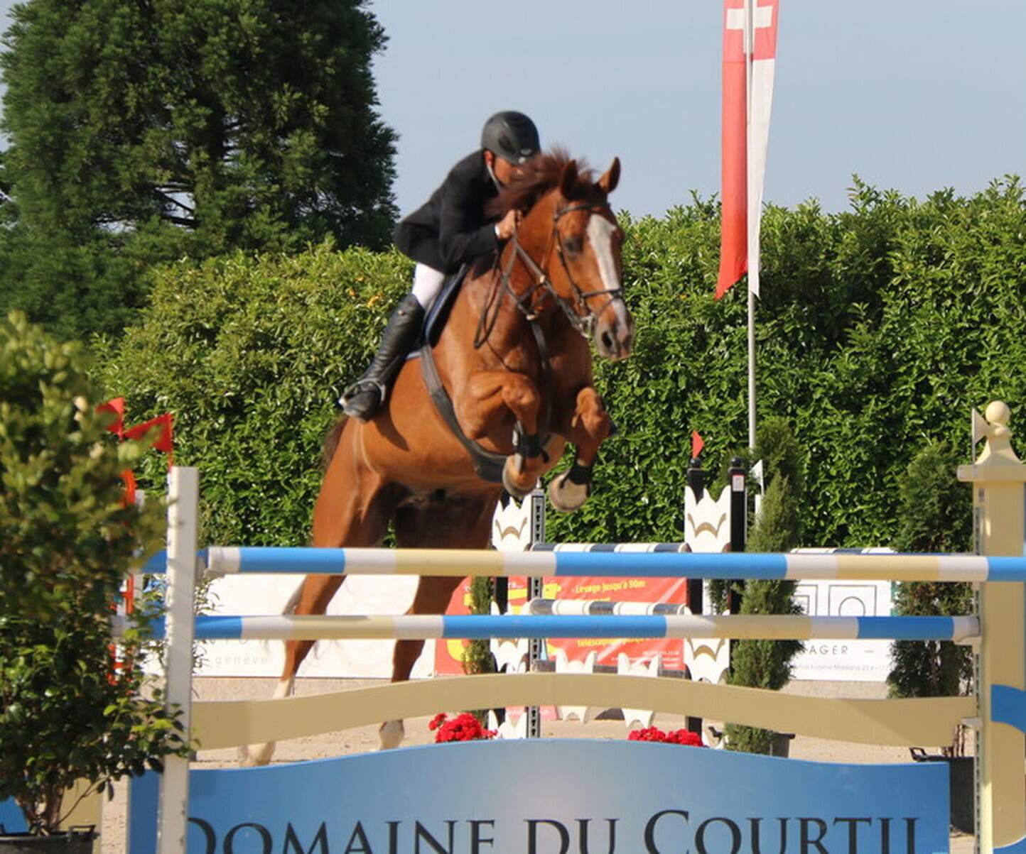 Description de l'image