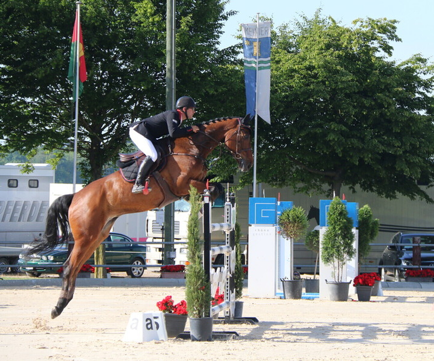 Description de l'image