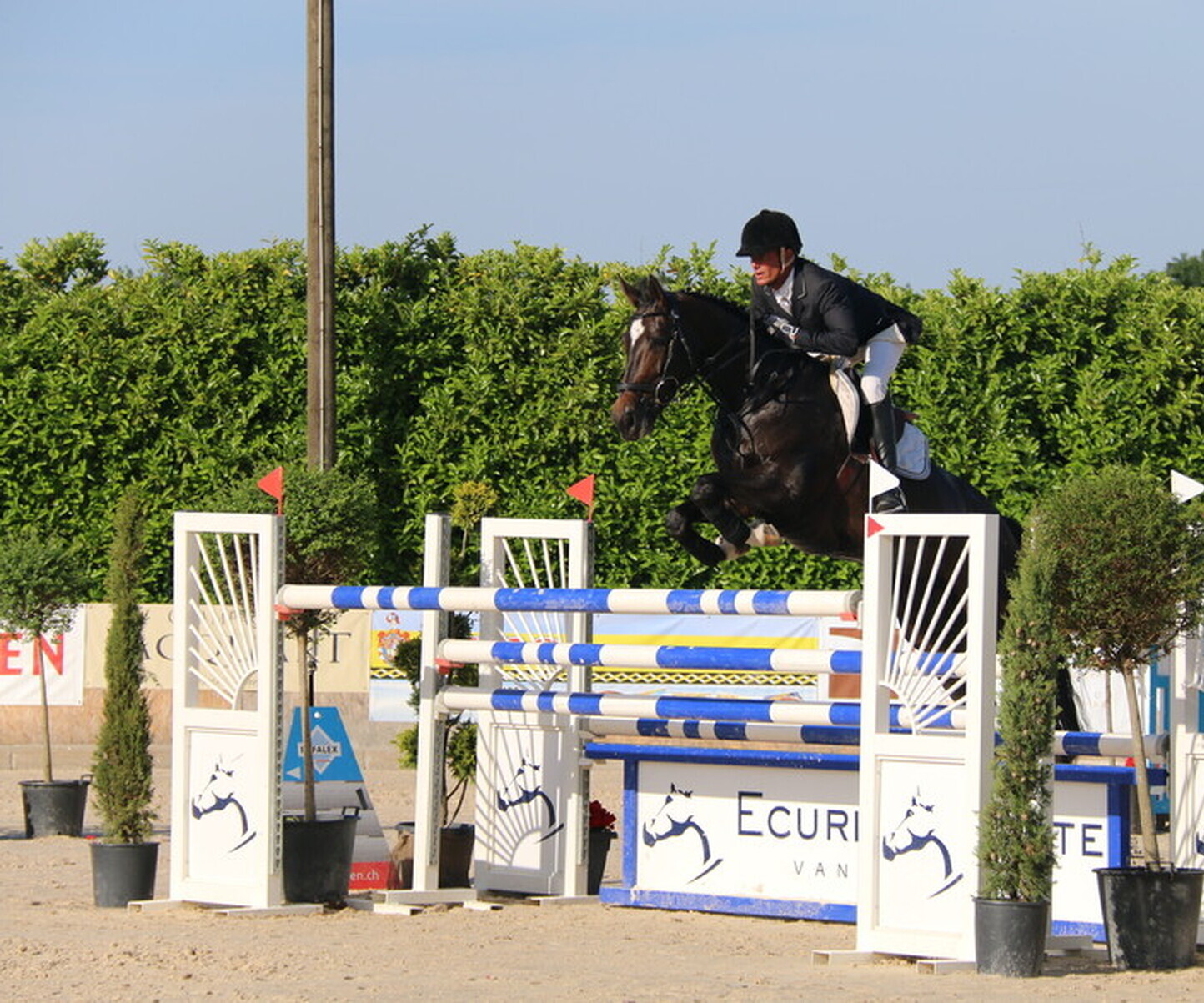 Description de l'image