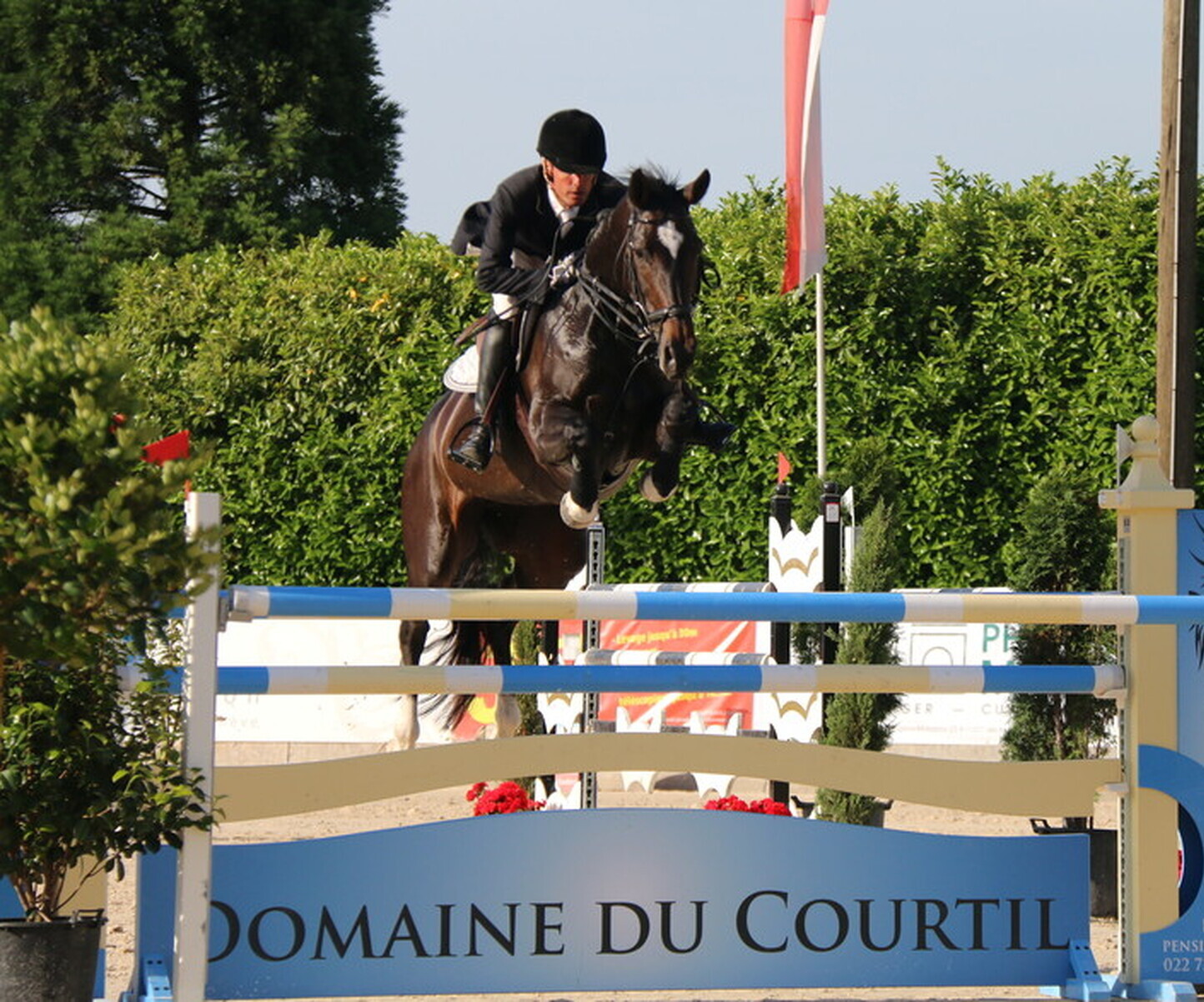 Description de l'image