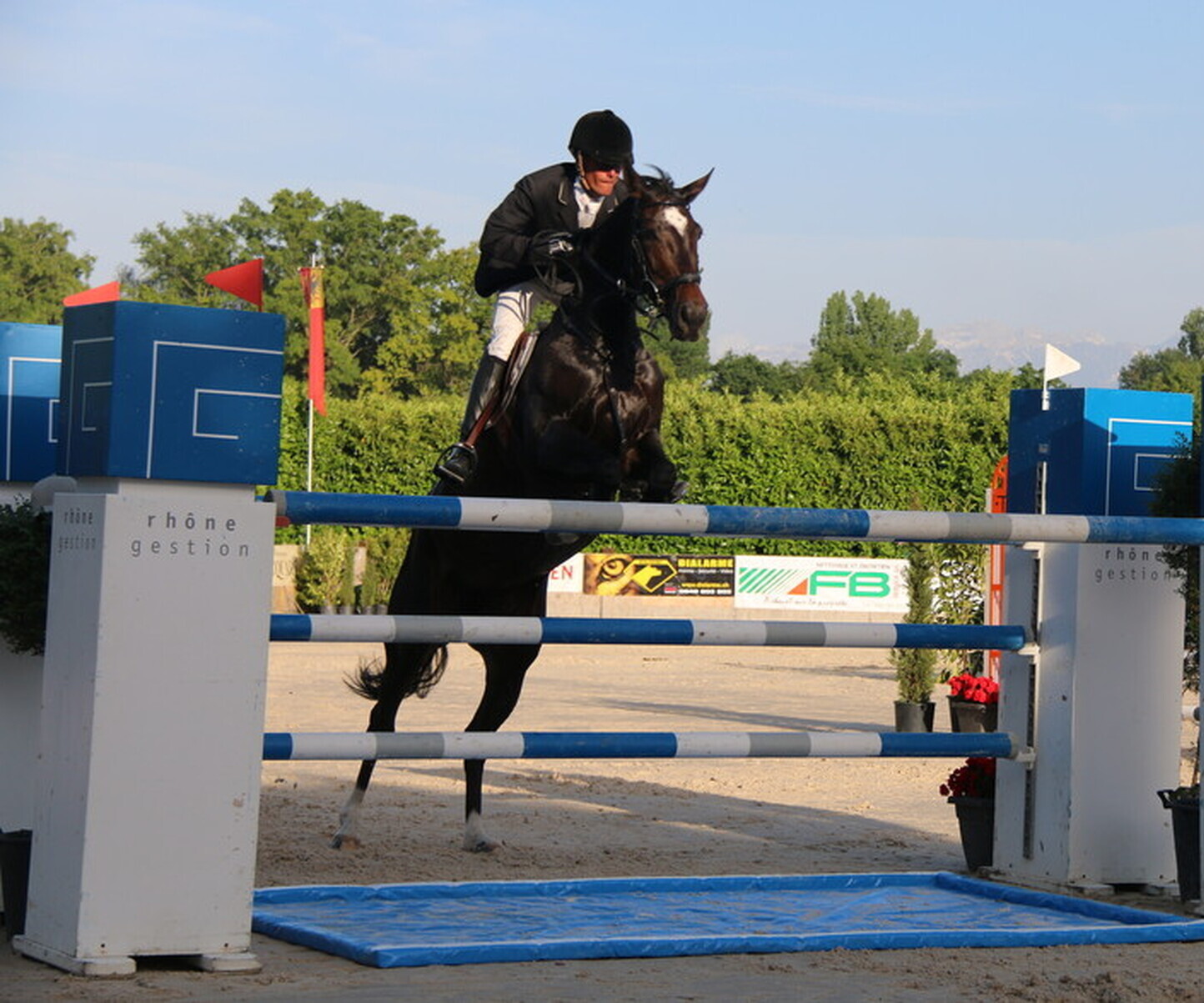 Description de l'image