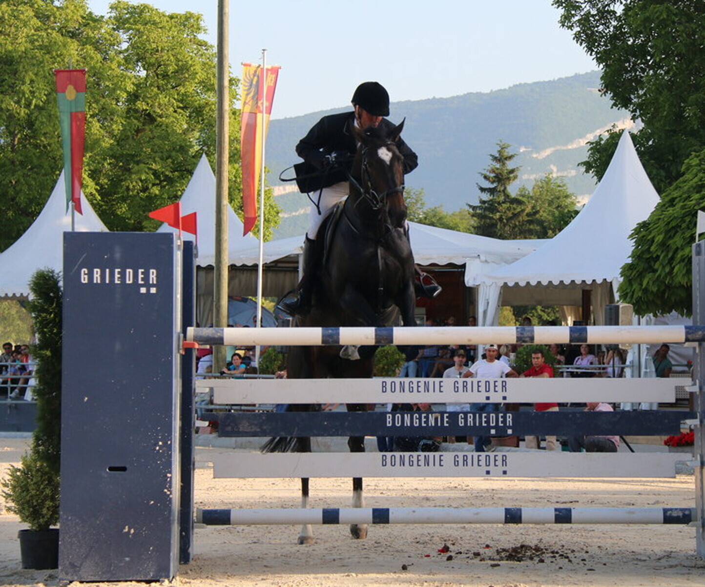 Description de l'image