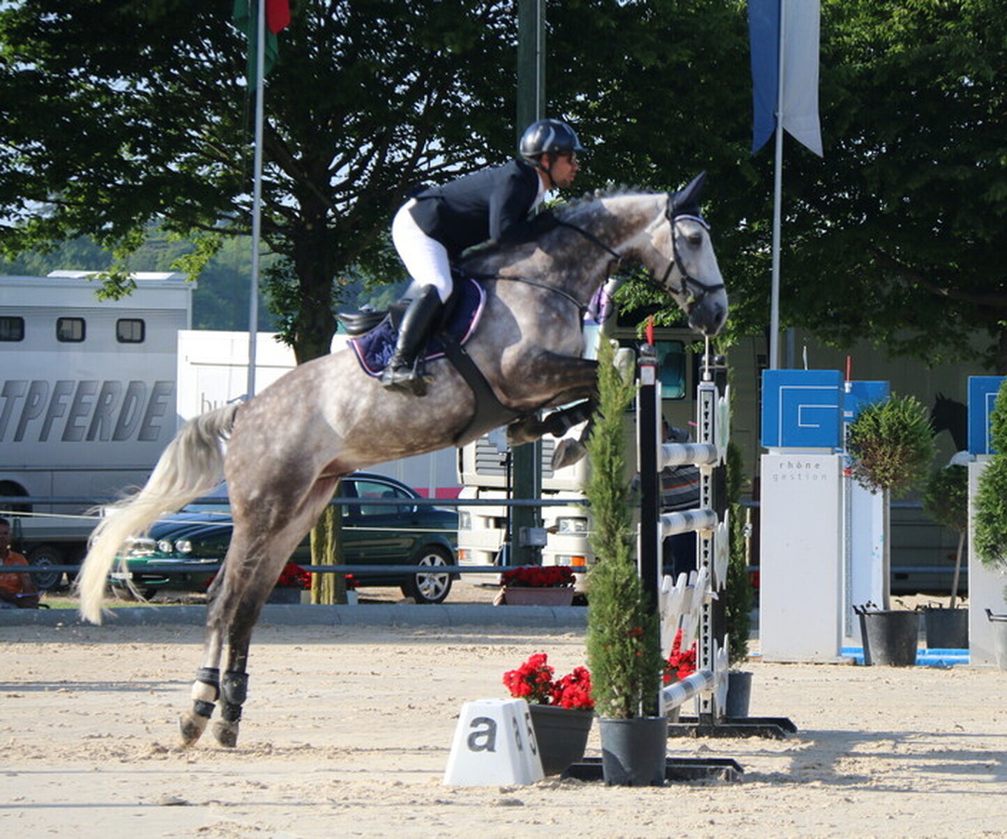 Description de l'image