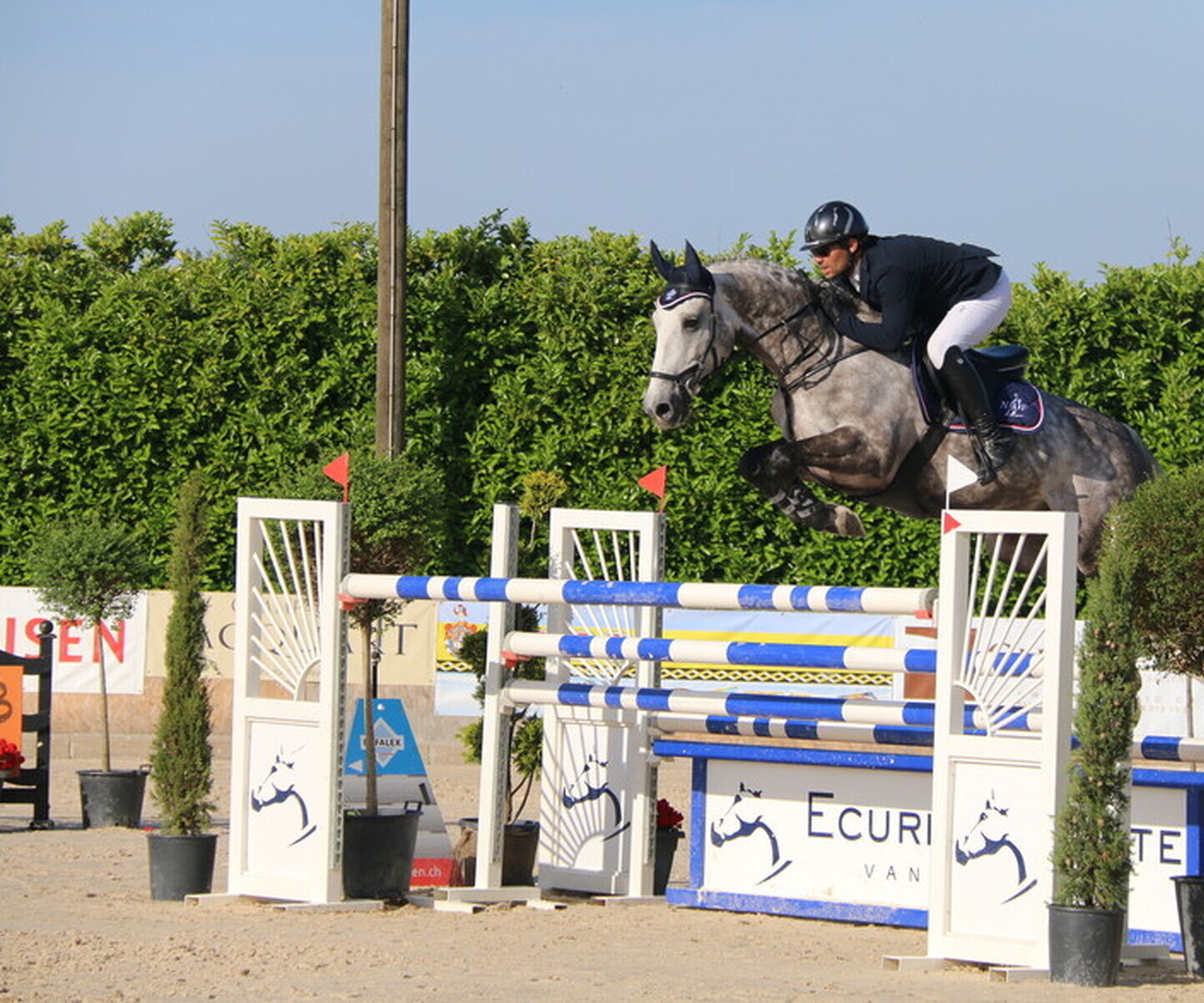 Description de l'image