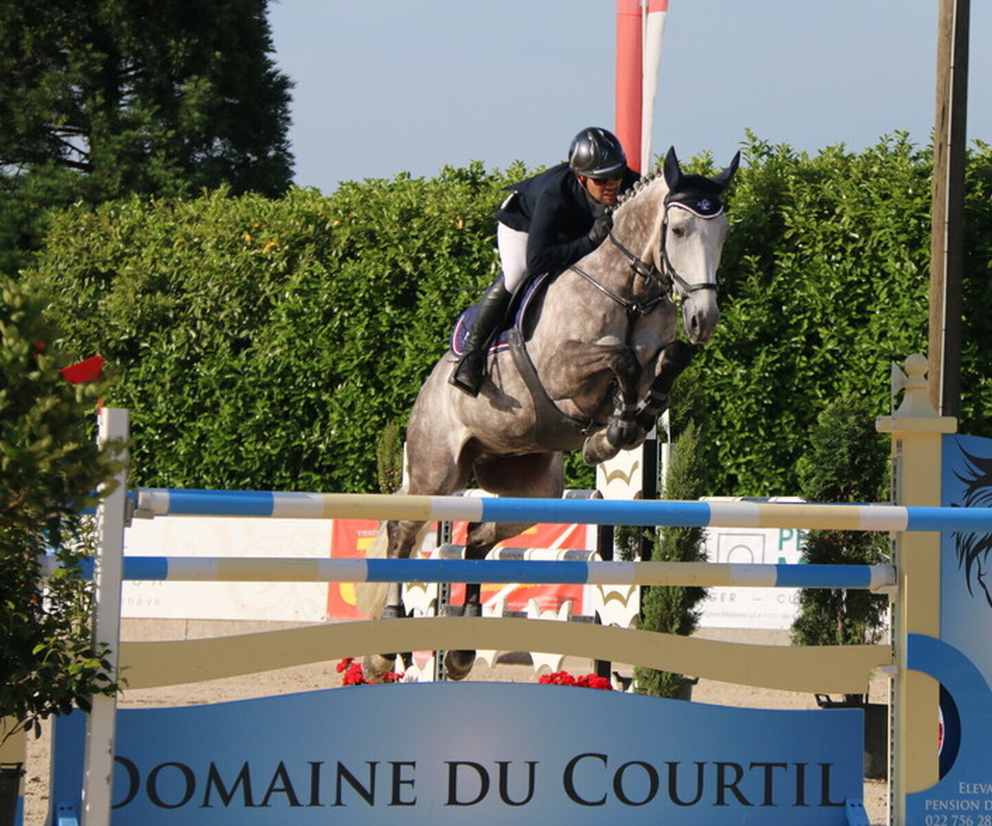 Description de l'image