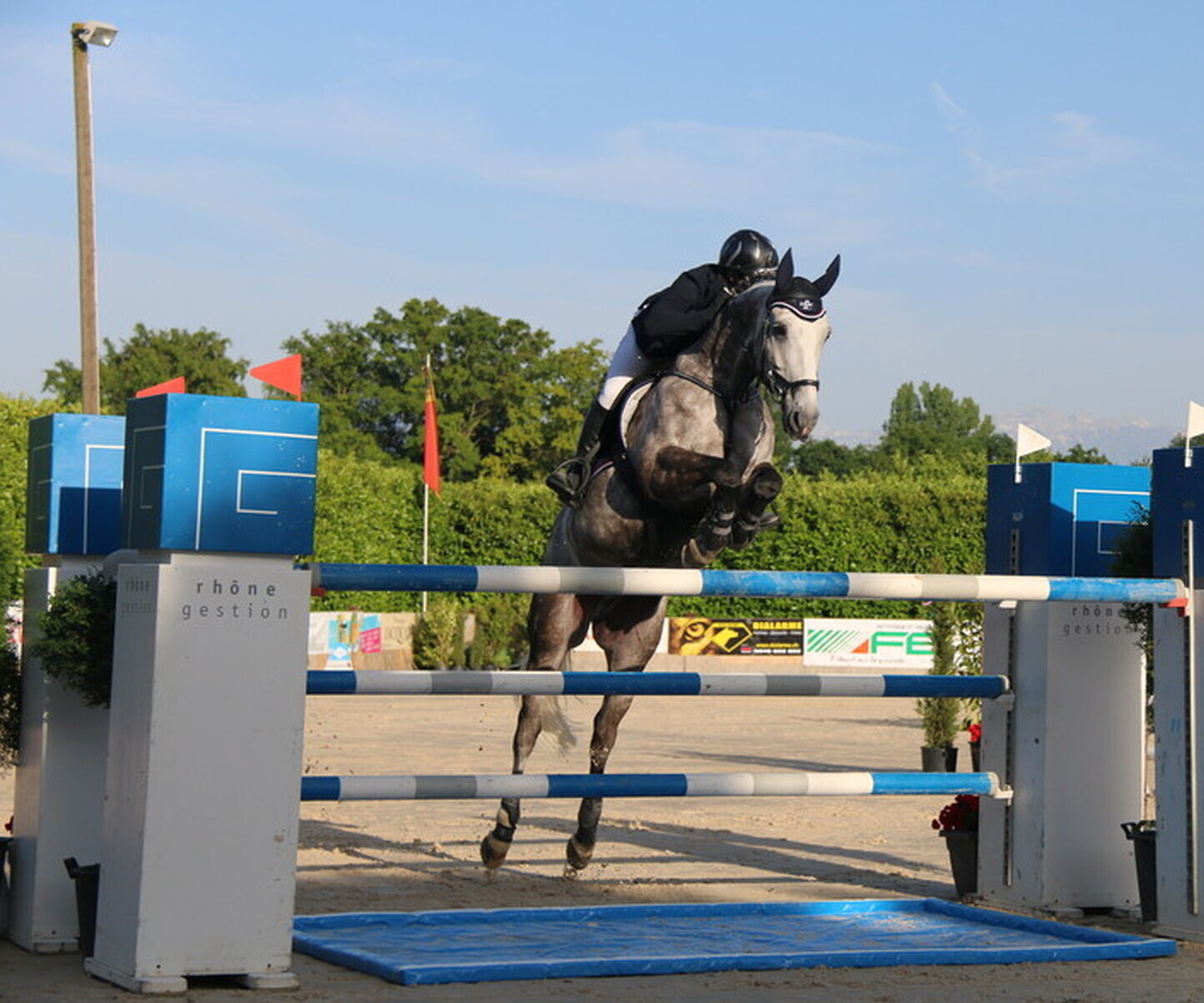 Description de l'image