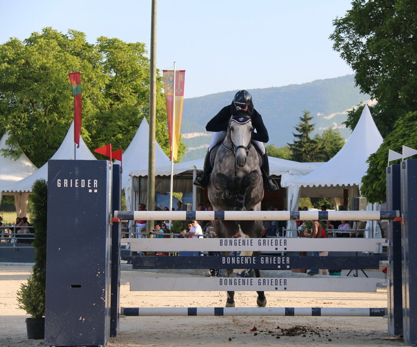 Description de l'image