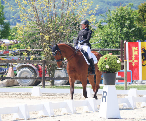 Dressage La Chaumaz L14