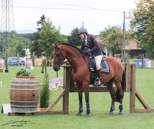 Equitation de Travail 2019